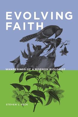 Vorderes Coverbild Evolving Faith