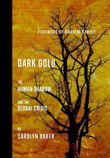 Vorderes Coverbild Dark Gold: The Human Shadow and the Global Crisis