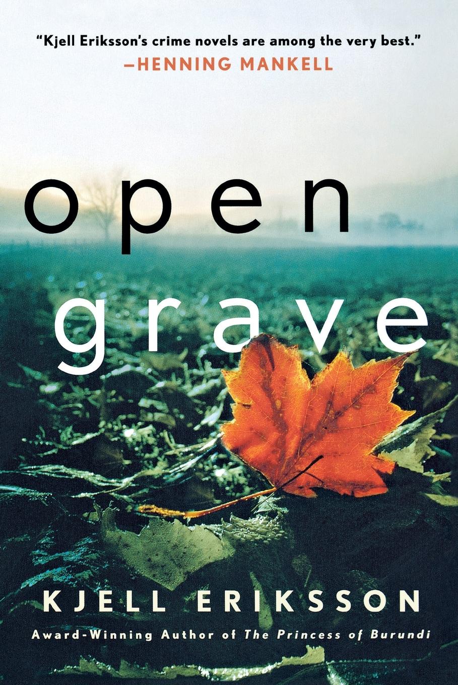 Vorderes Coverbild Open Grave