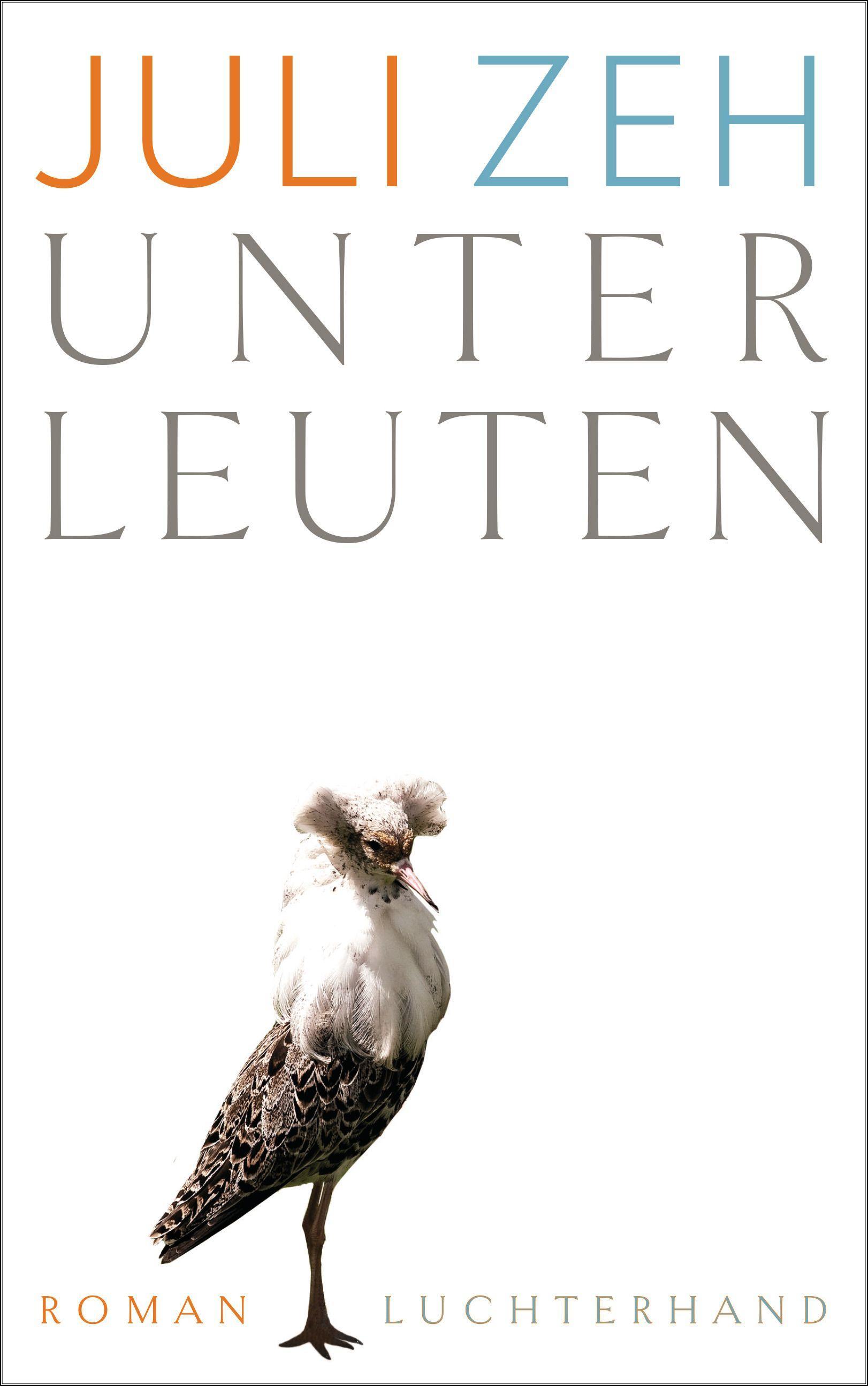 Vorderes Coverbild Unterleuten