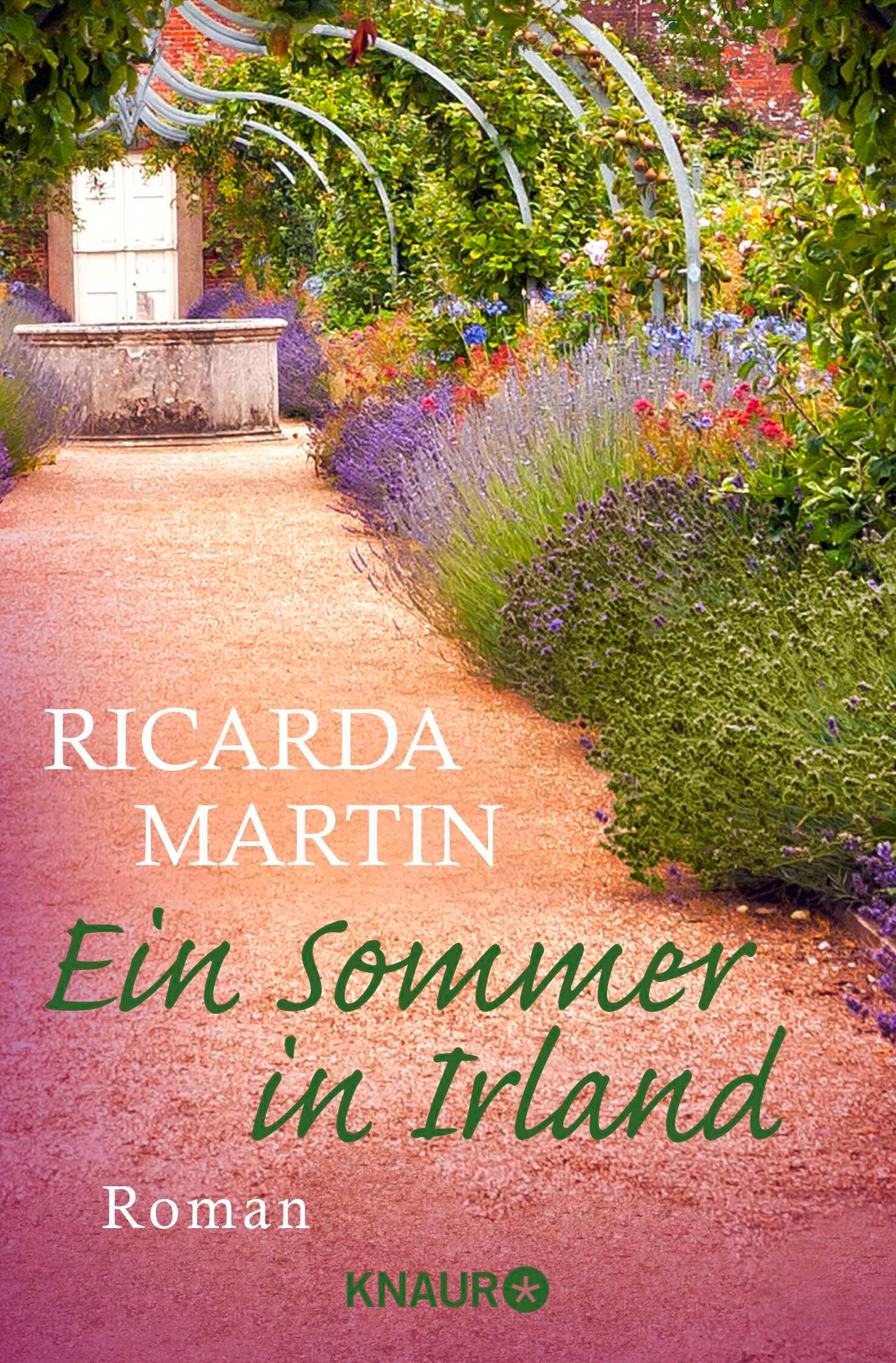 Vorderes Coverbild Ein Sommer in Irland