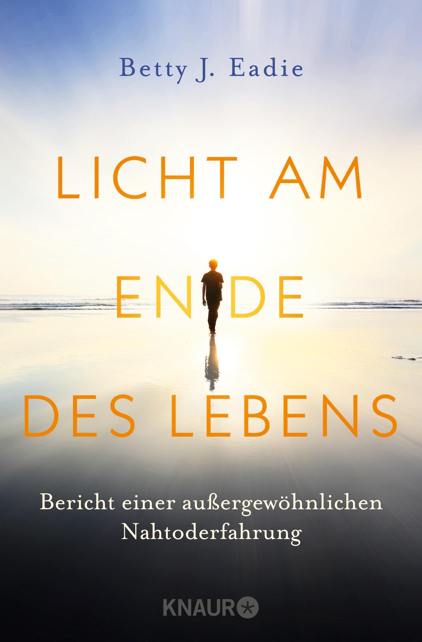 Vorderes Coverbild Licht am Ende des Lebens