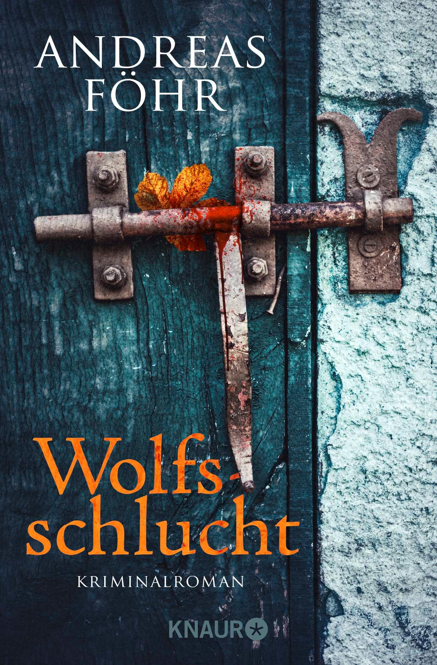 Vorderes Coverbild Wolfsschlucht