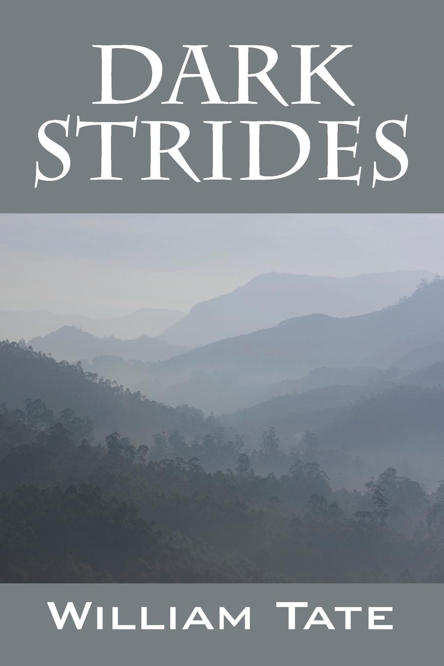Vorderes Coverbild Dark Strides
