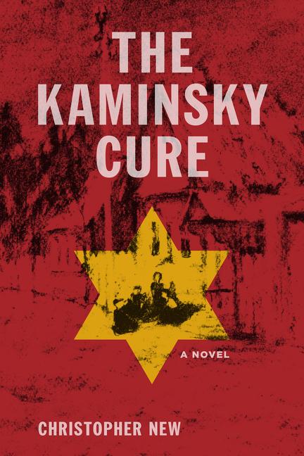 Vorderes Coverbild The Kaminsky Cure