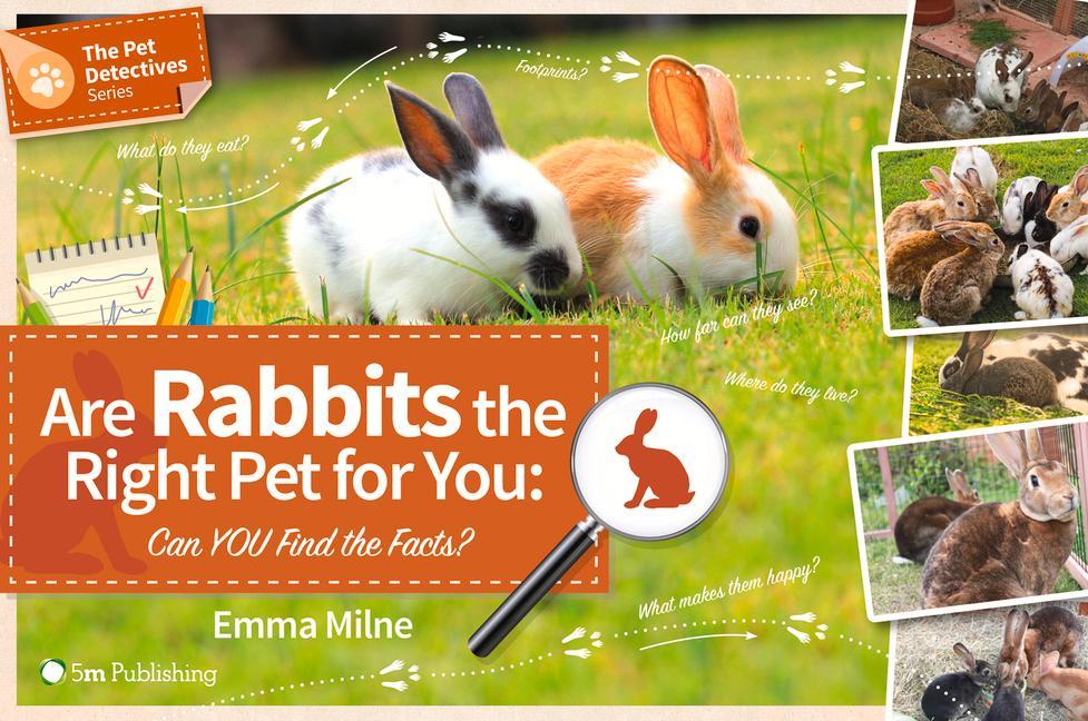 Vorderes Coverbild Are Rabbits the Right Pet for You