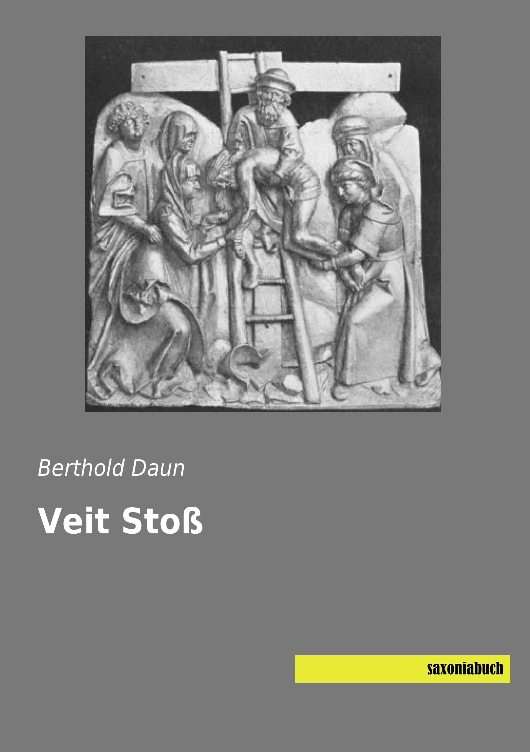 Vorderes Coverbild Veit Stoß