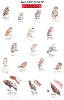 Vorderes Coverbild Mac's Field Guides: North American Birds of Prey