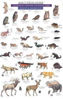 Vorderes Coverbild Mac's Field Guides: Mount Rainier National Park Mammals & Birds