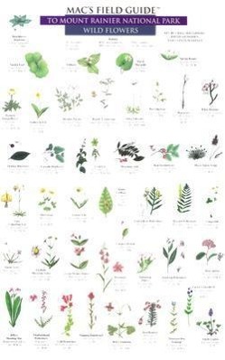 Vorderes Coverbild Mac's Field Guides: Mount Rainier National Park Flowers & Trees