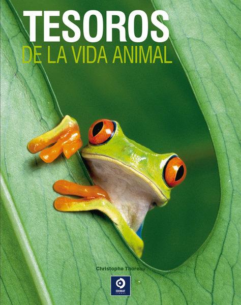 Vorderes Coverbild Tesoros de la vida animal