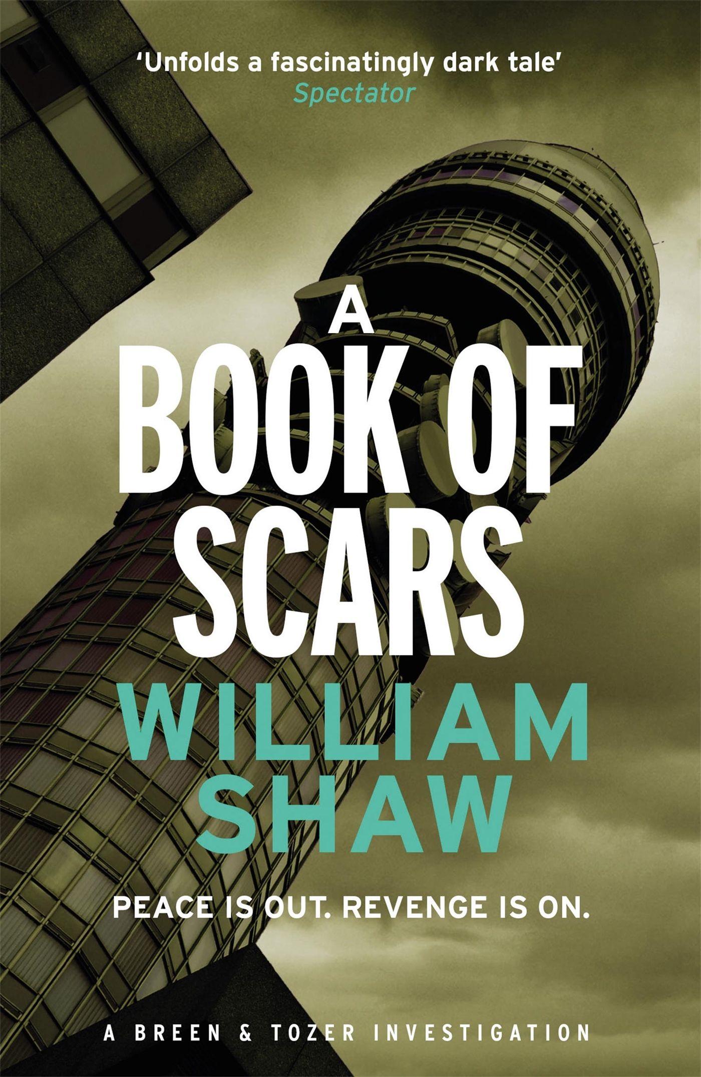 Vorderes Coverbild A Book of Scars