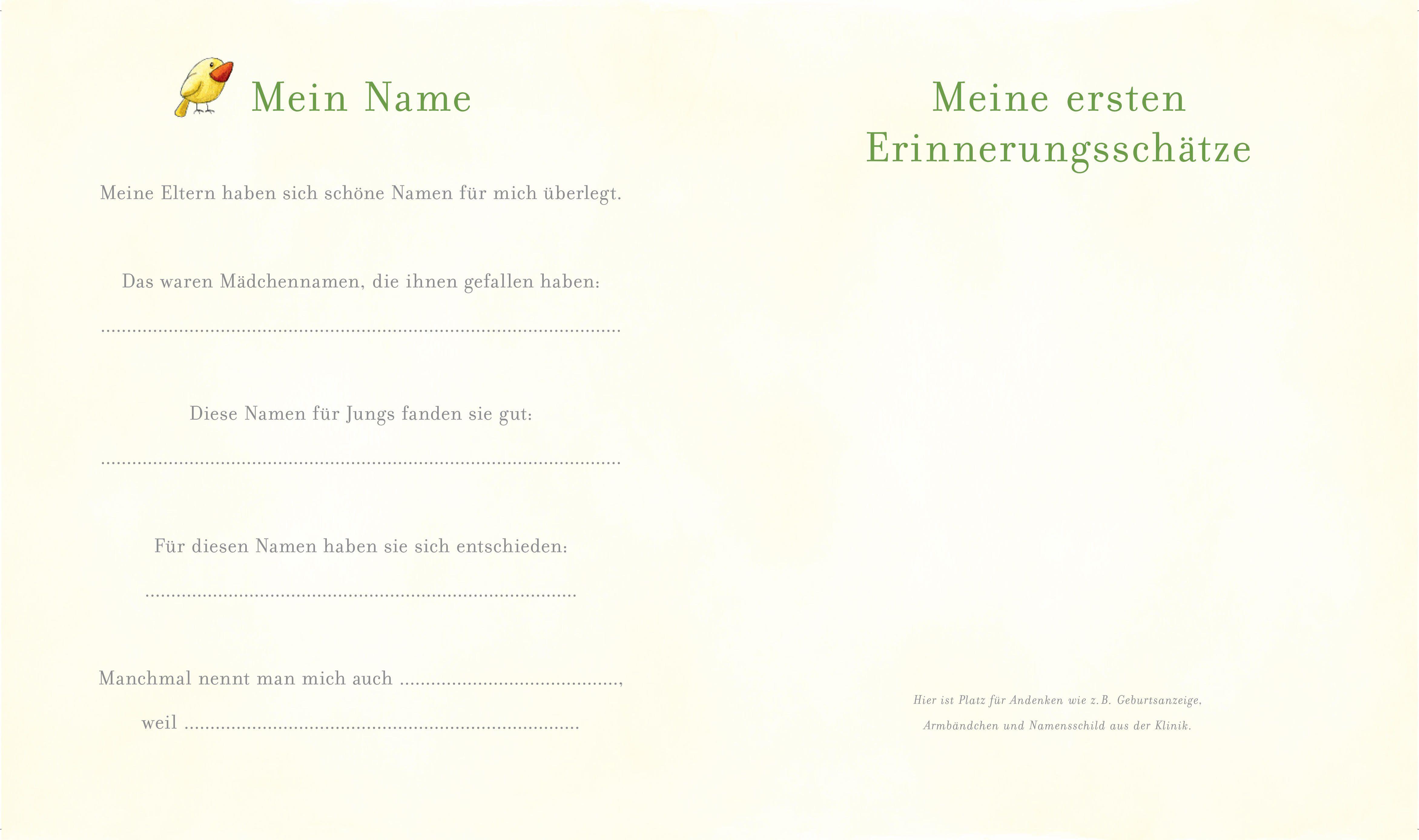 Beispielinhalt (Bild) Die kleine Spinne Widerlich. Mein Babyalbum