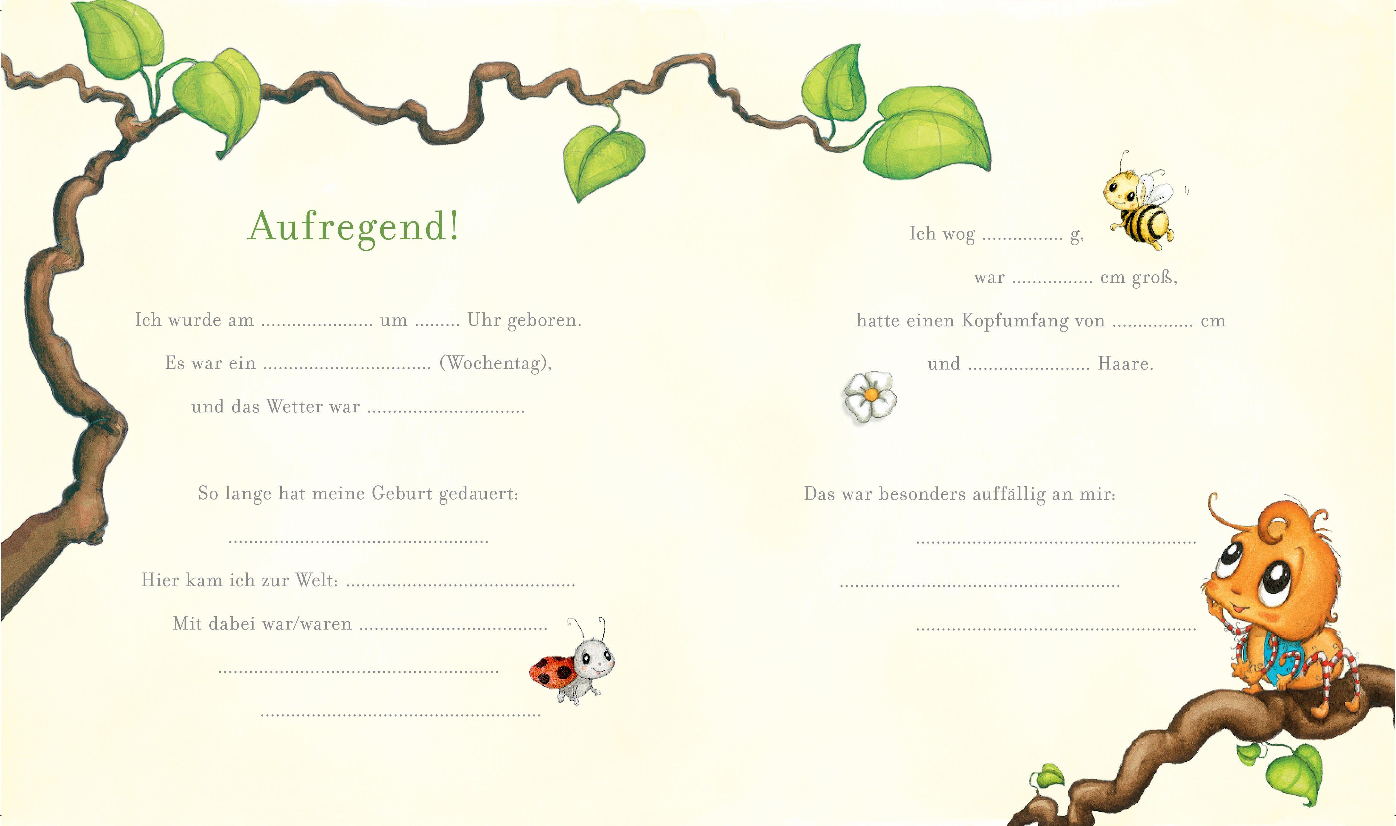 Beispielinhalt (Bild) Die kleine Spinne Widerlich. Mein Babyalbum