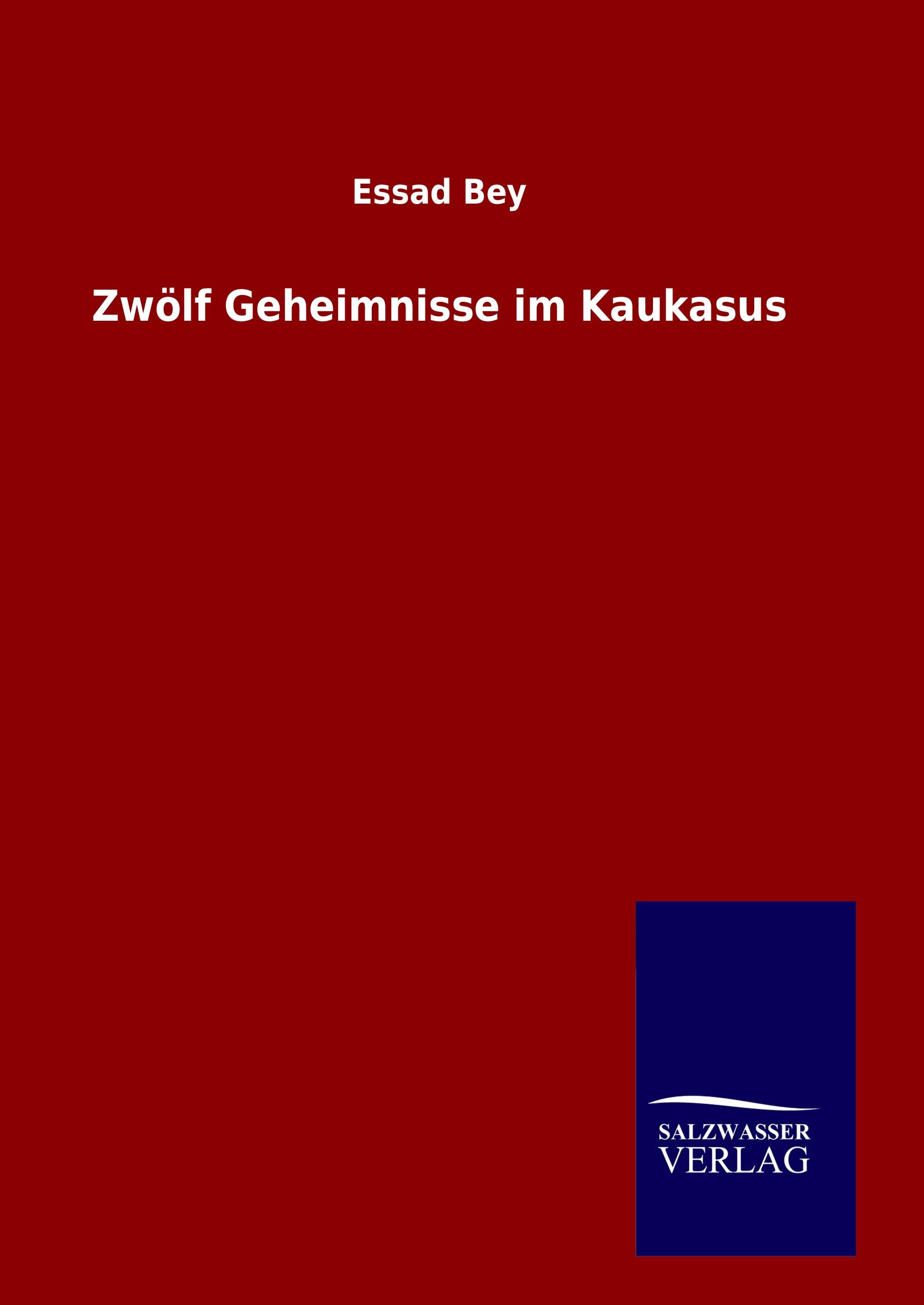 Vorderes Coverbild Zwölf Geheimnisse im Kaukasus