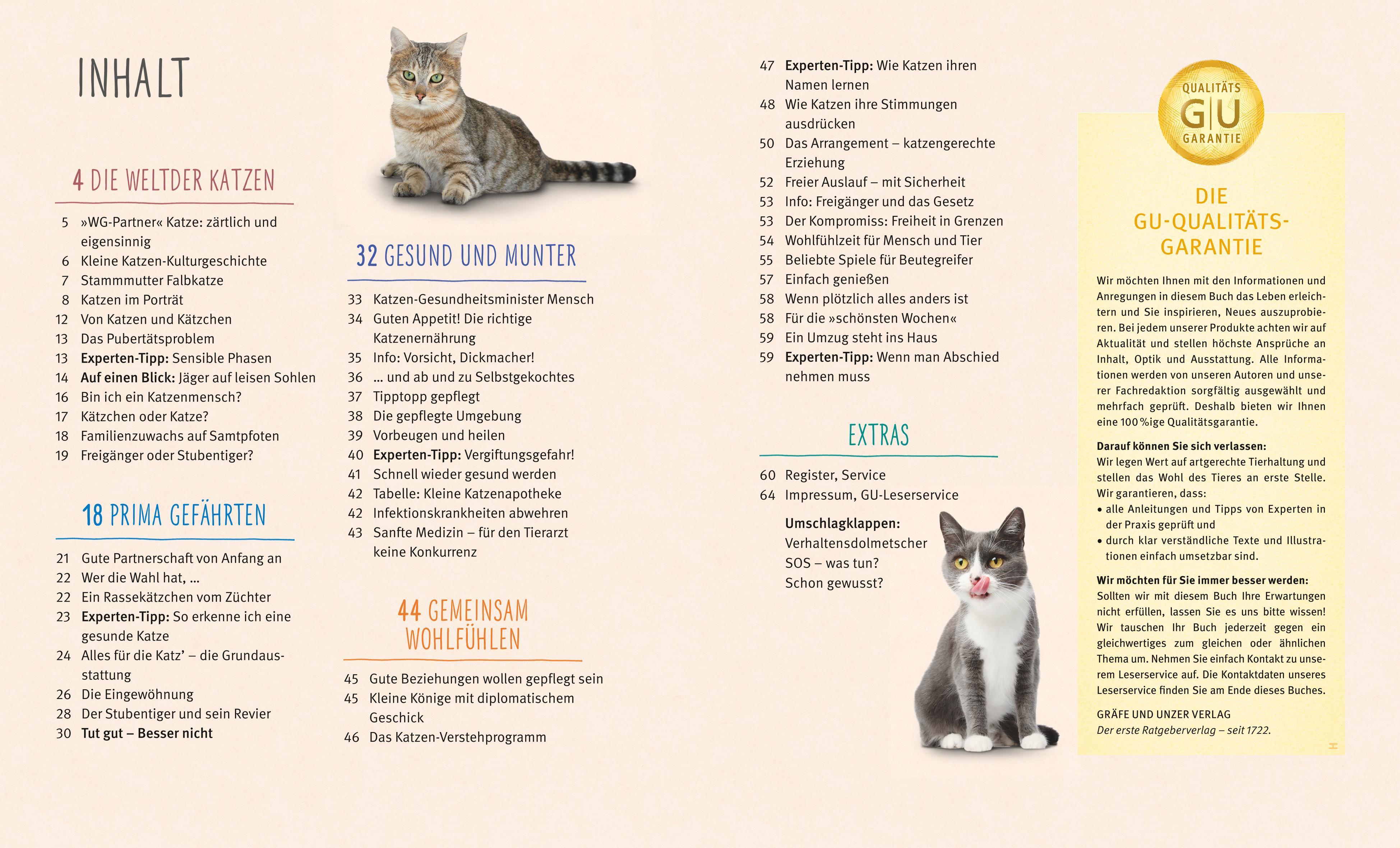 Beispielinhalt (Bild) Katzen