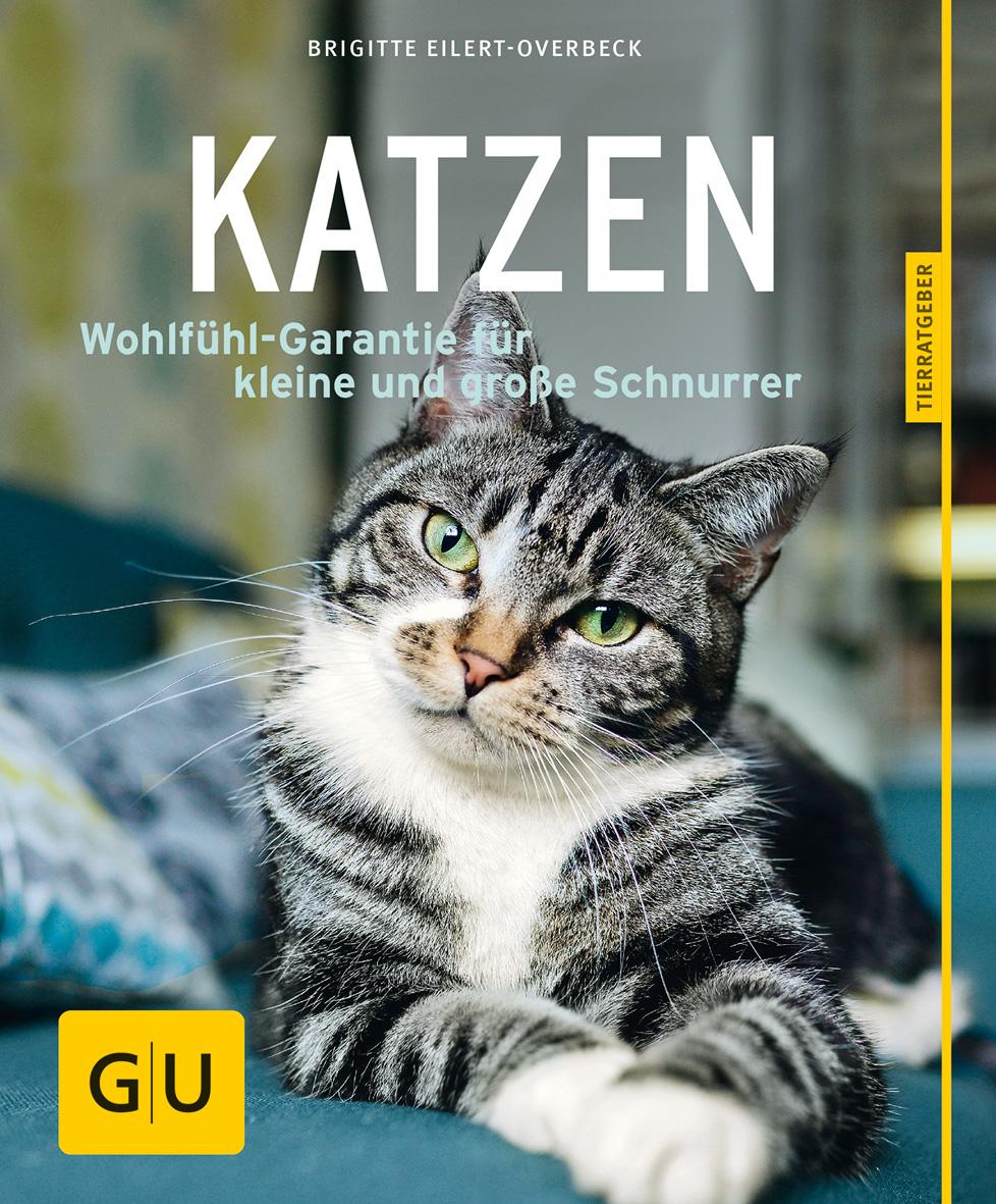 Vorderes Coverbild Katzen