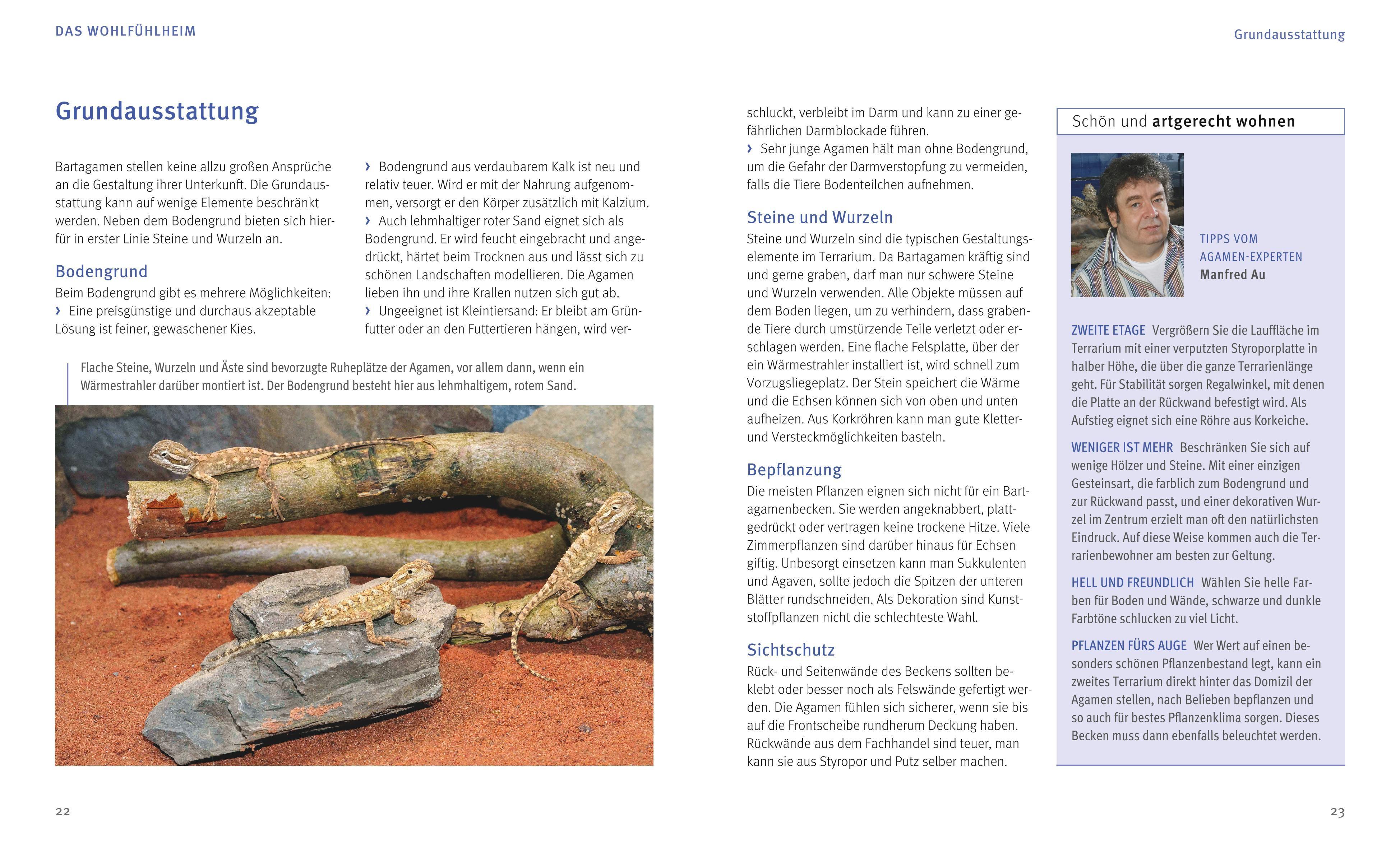 Beispielinhalt (Bild) Bartagamen