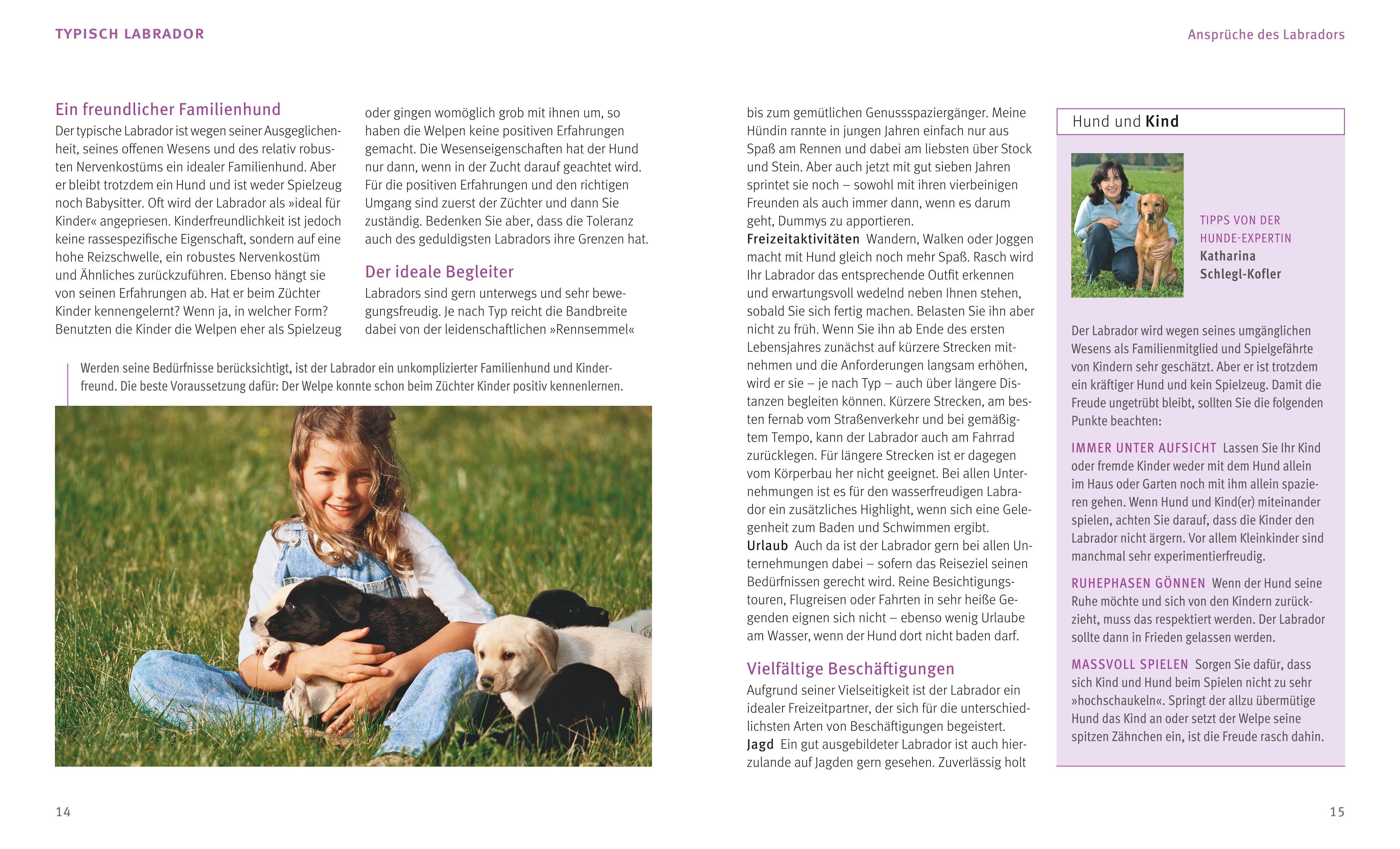 Beispielinhalt (Bild) Labrador Retriever