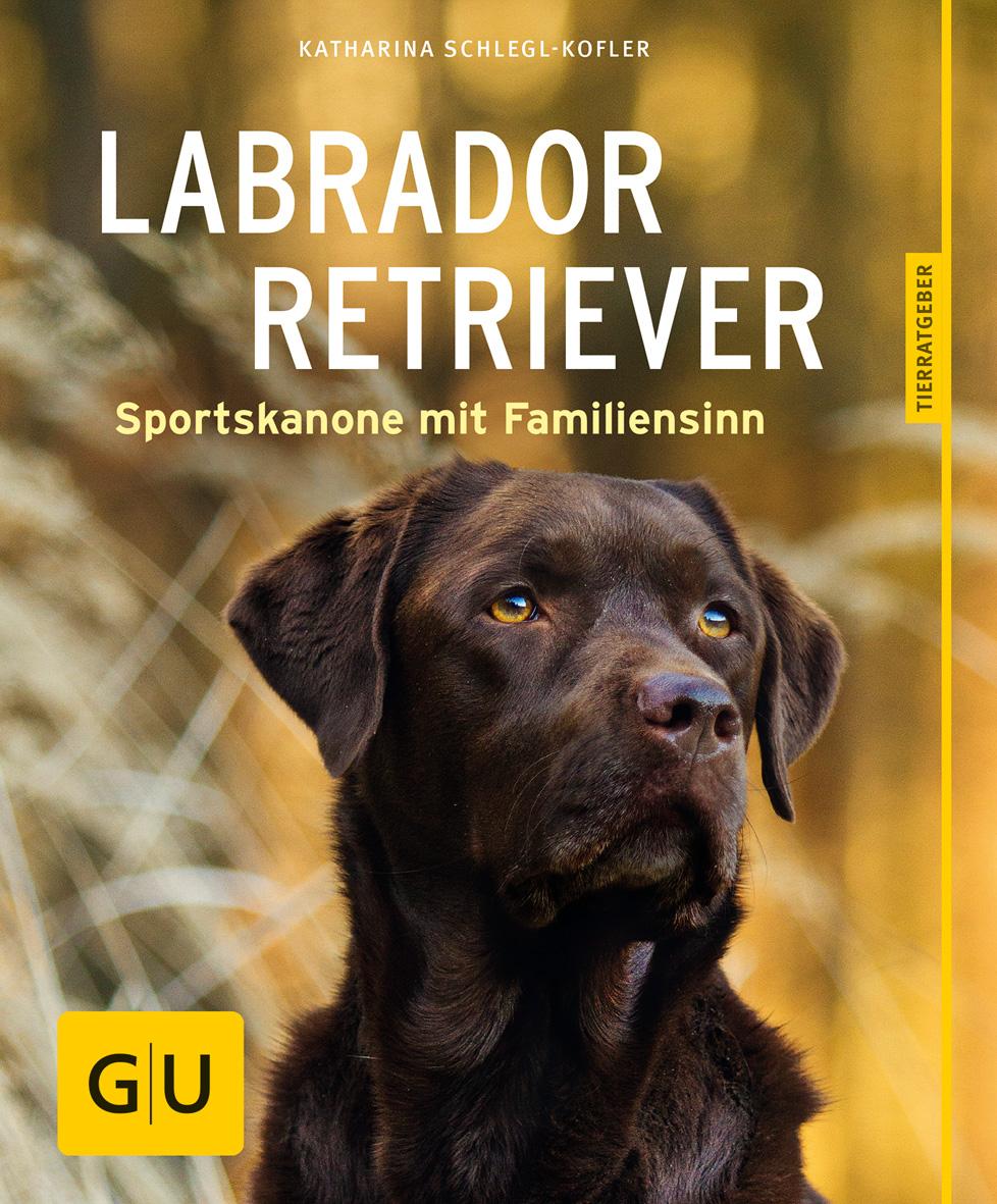 Vorderes Coverbild Labrador Retriever