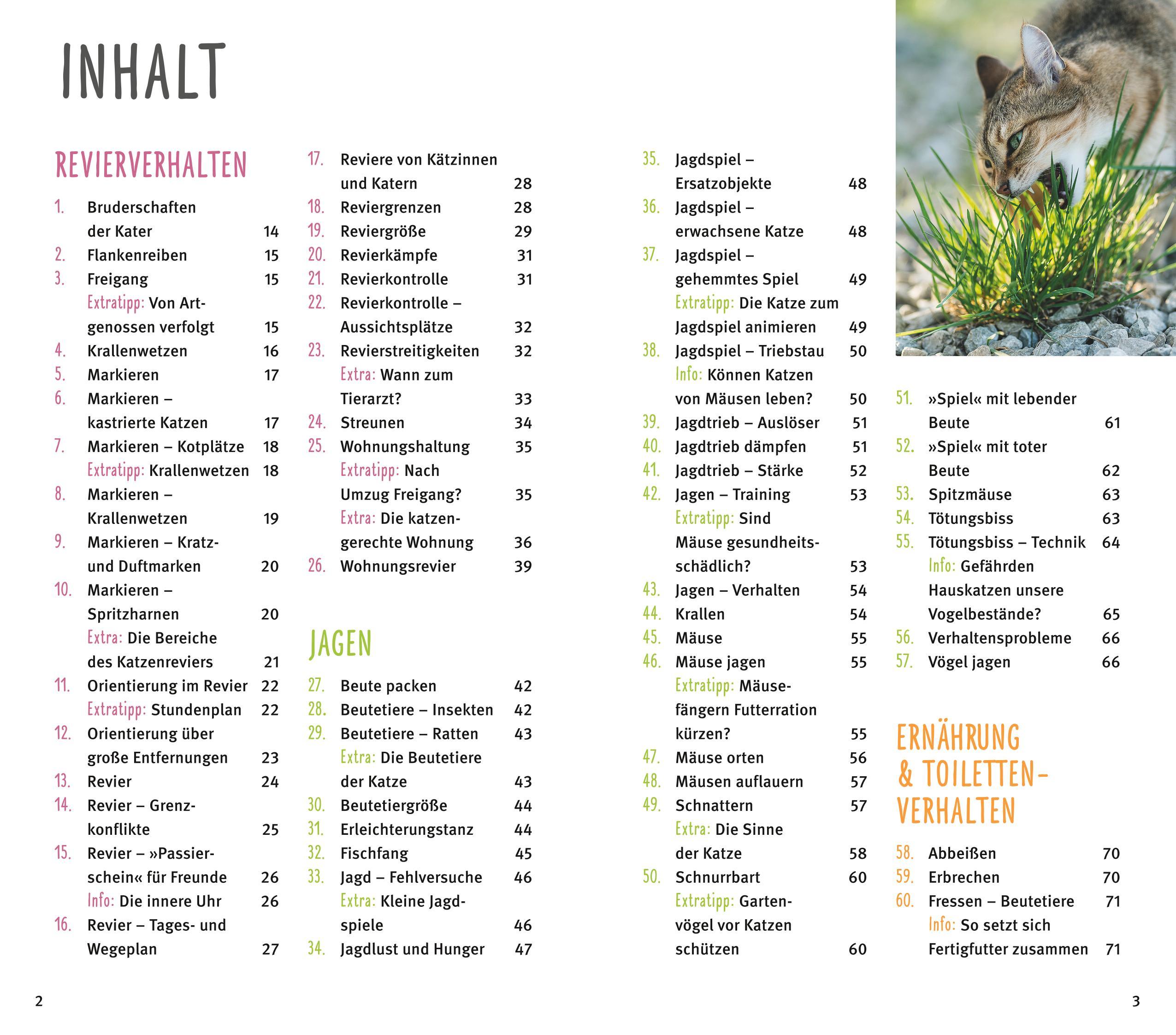 Beispielinhalt (Bild) 300 Fragen zum Katzenverhalten