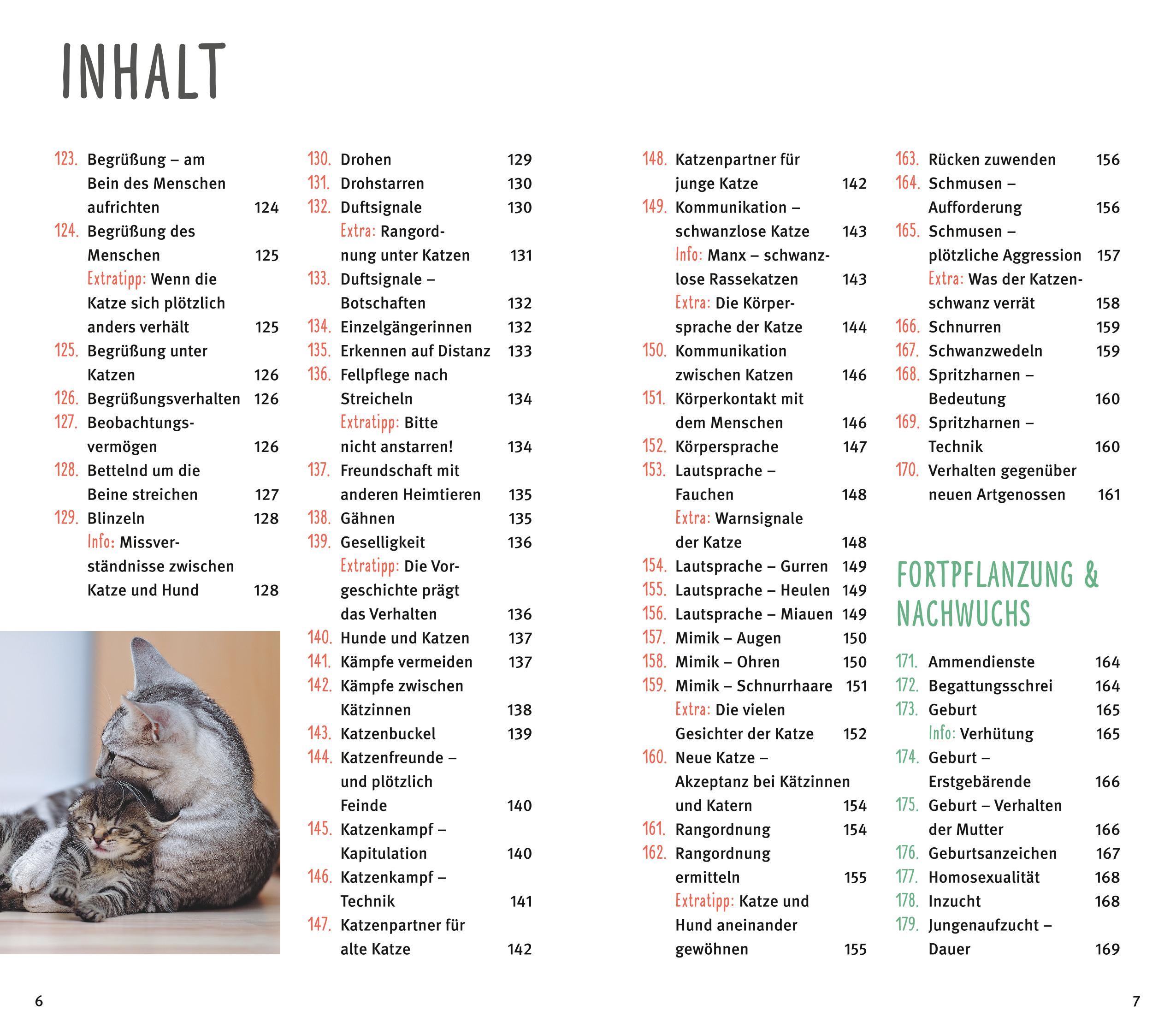 Beispielinhalt (Bild) 300 Fragen zum Katzenverhalten