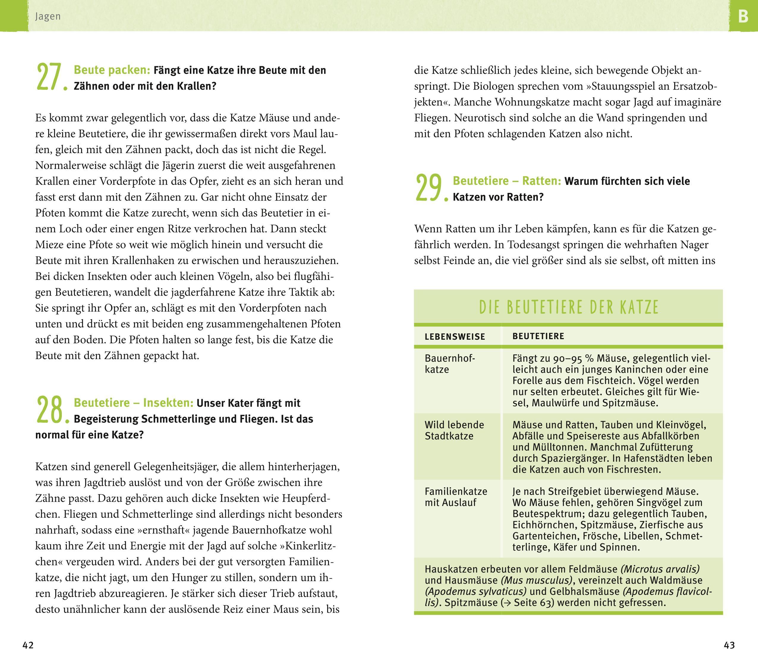 Beispielinhalt (Bild) 300 Fragen zum Katzenverhalten
