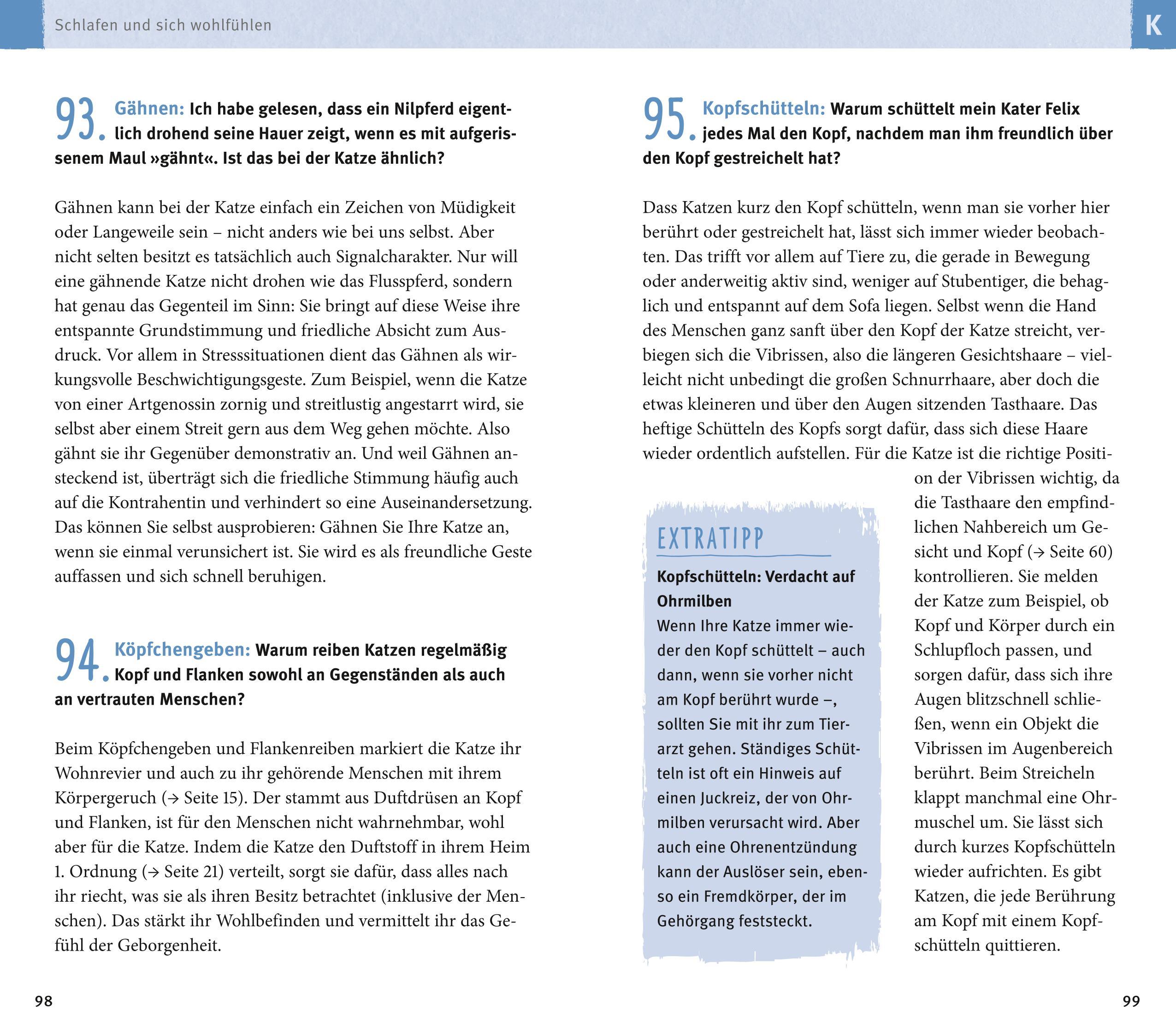 Beispielinhalt (Bild) 300 Fragen zum Katzenverhalten
