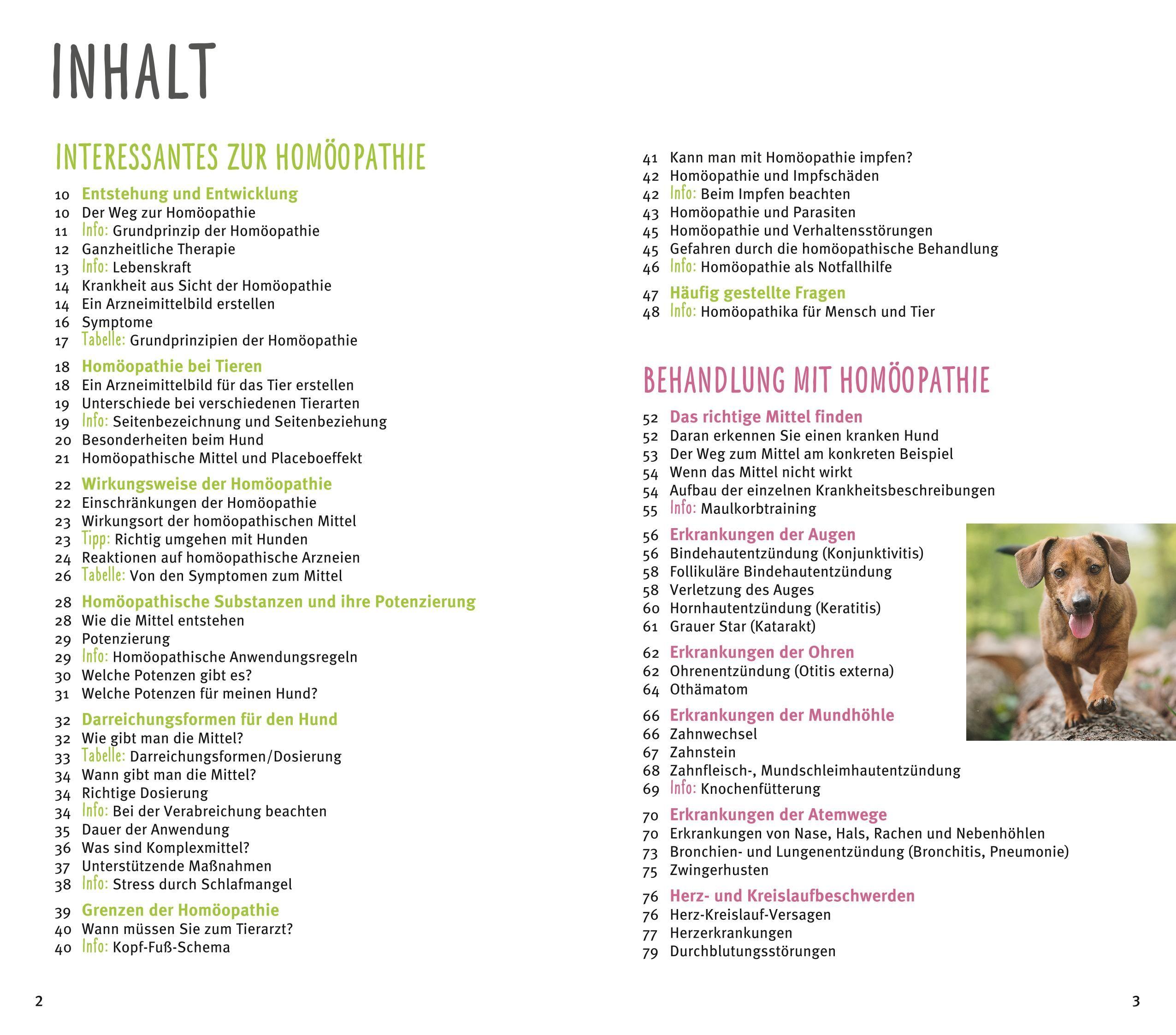 Beispielinhalt (Bild) Homöopathie für Hunde