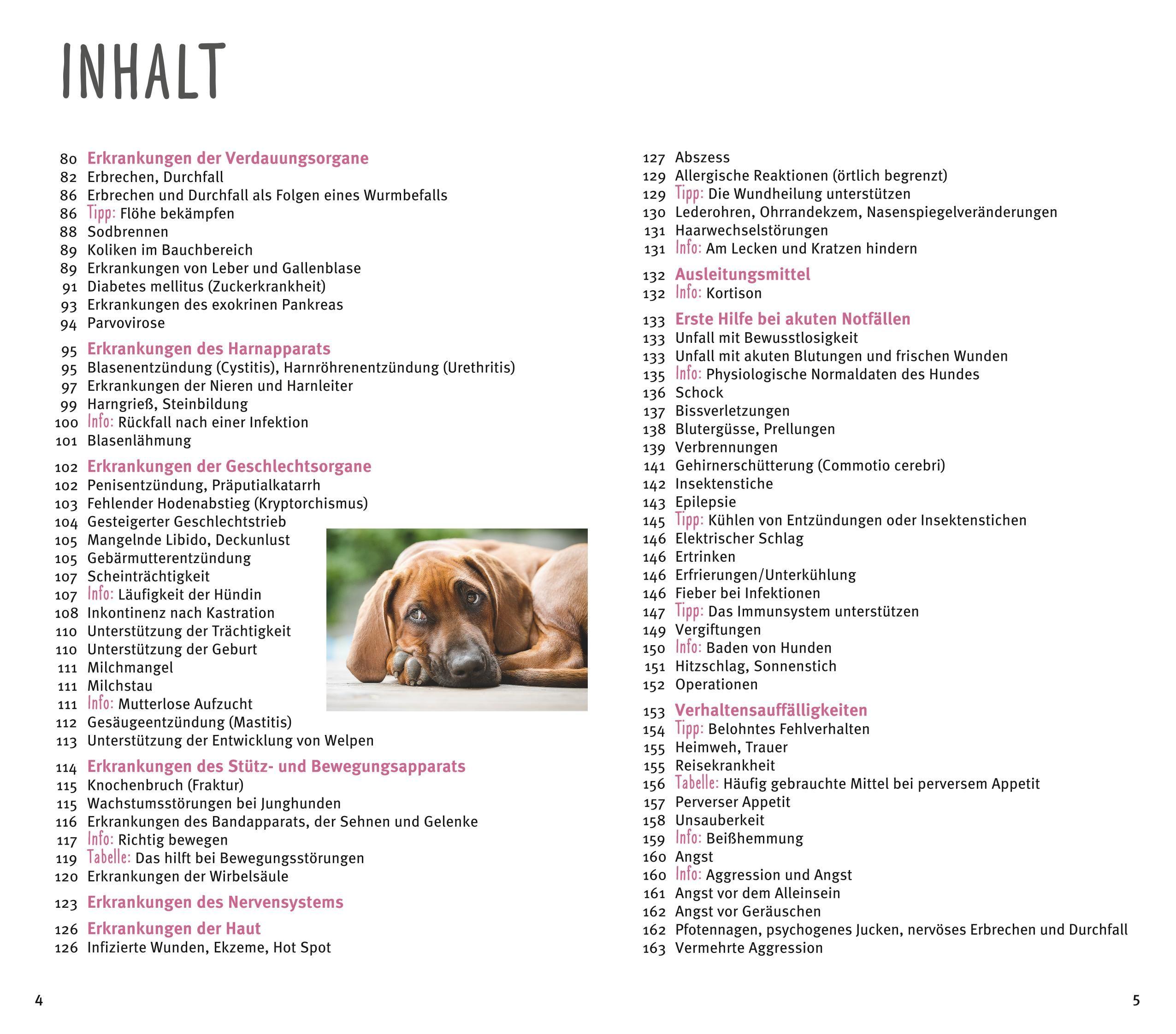 Beispielinhalt (Bild) Homöopathie für Hunde