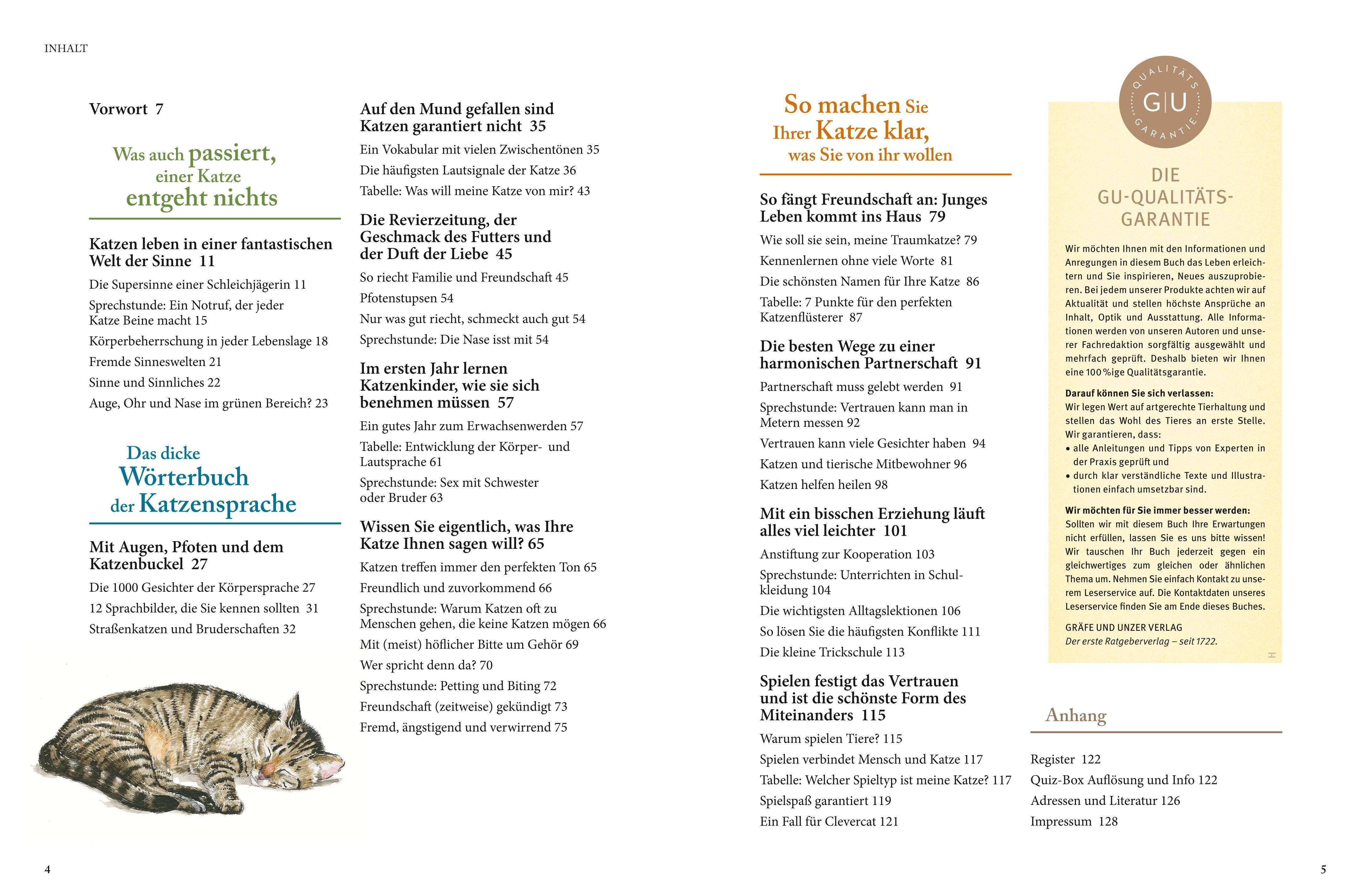 Beispielinhalt (Bild) Katzensprache