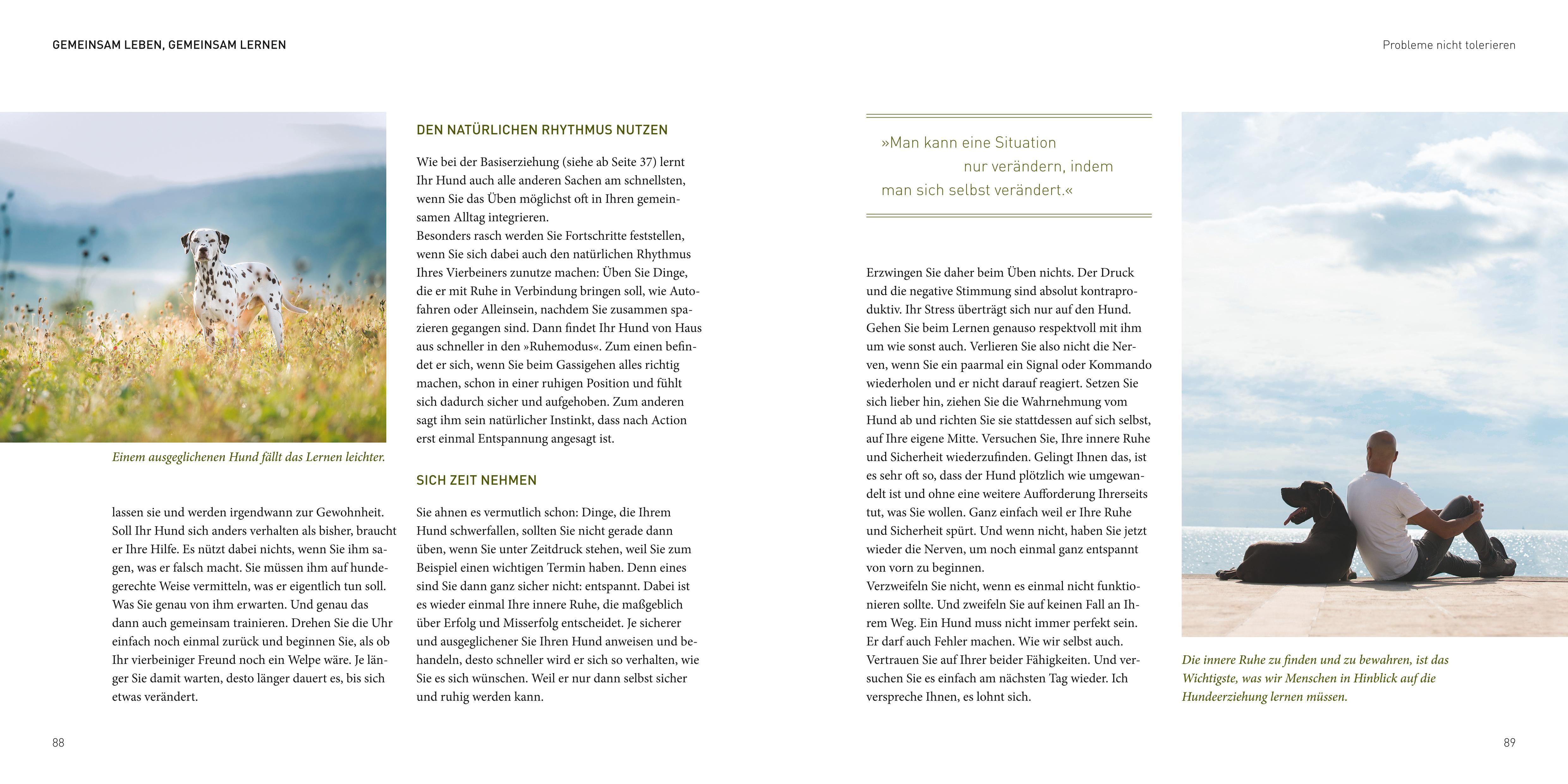 Beispielinhalt (Bild) José Arce's Praxisbuch
