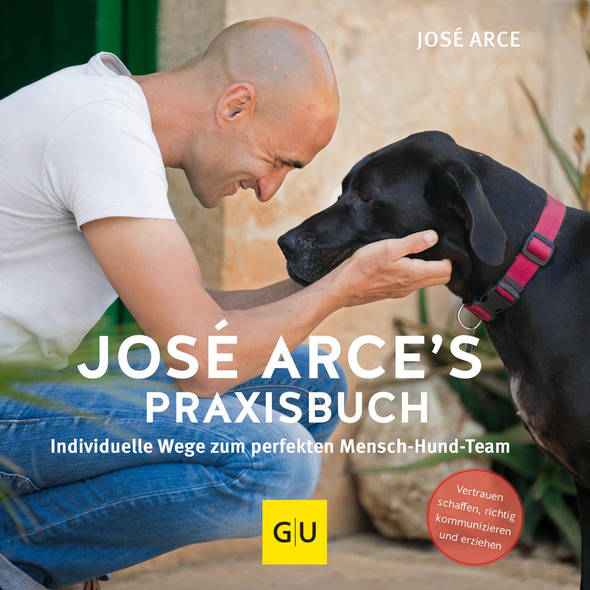 Vorderes Coverbild José Arce's Praxisbuch