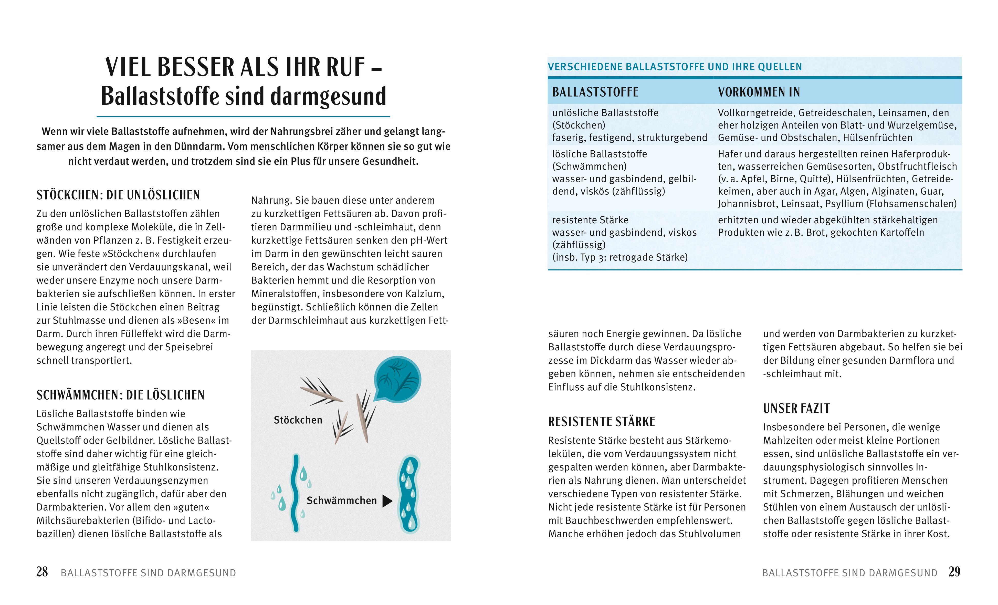 Beispielinhalt (Bild) Rezepte für einen gesunden Darm