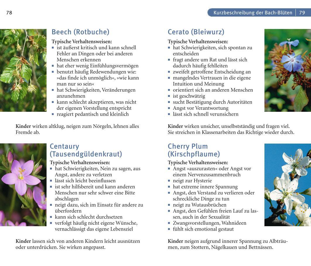 Beispielinhalt (Bild) Bach-Blüten