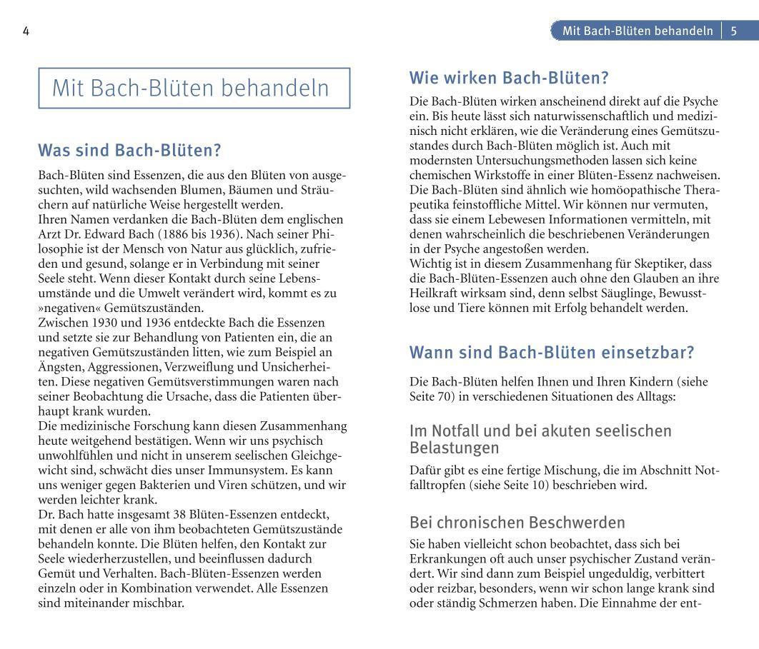 Beispielinhalt (Bild) Bach-Blüten