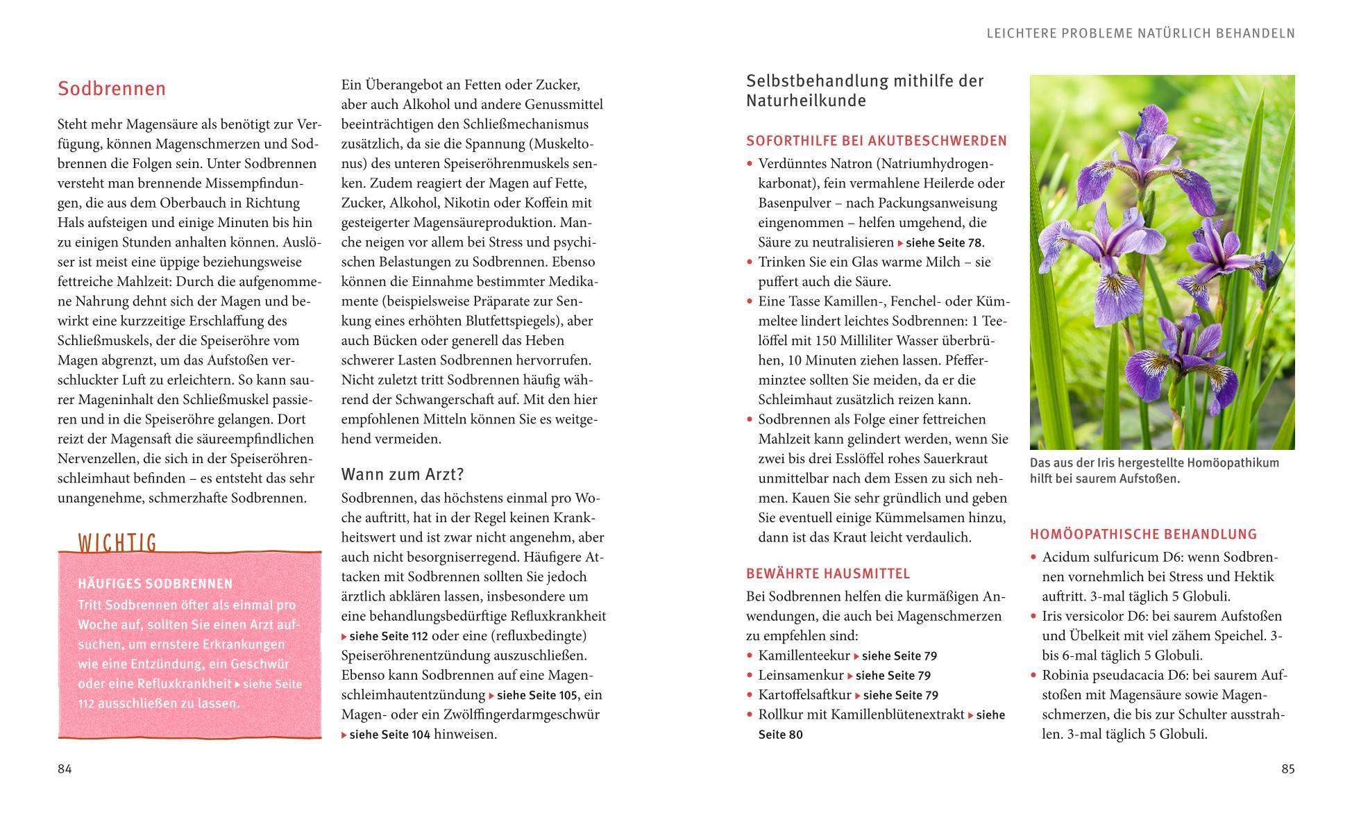 Beispielinhalt (Bild) Magen und Darm natürlich behandeln