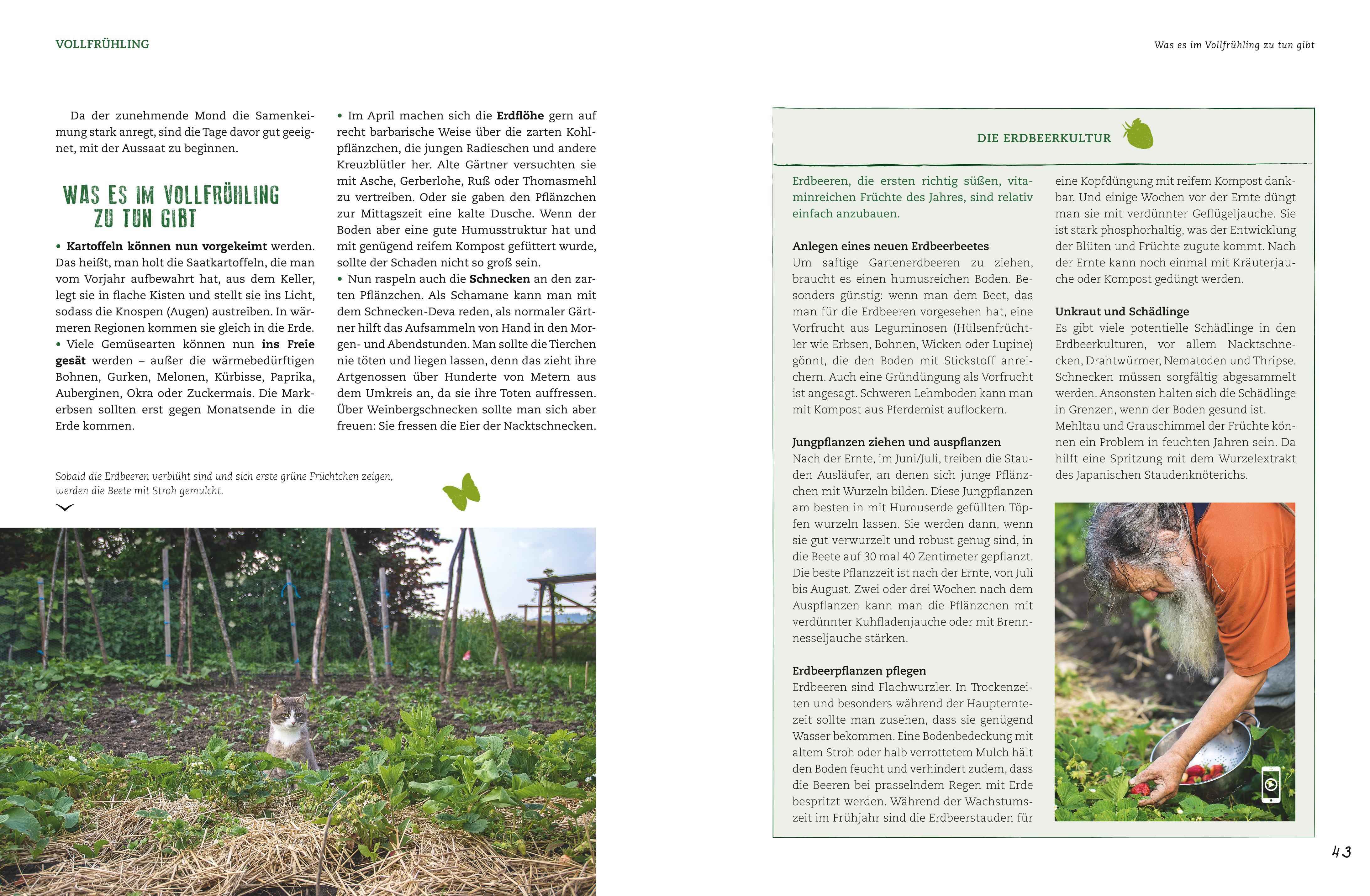 Beispielinhalt (Bild) Der Selbstversorger: Mein Gartenjahr