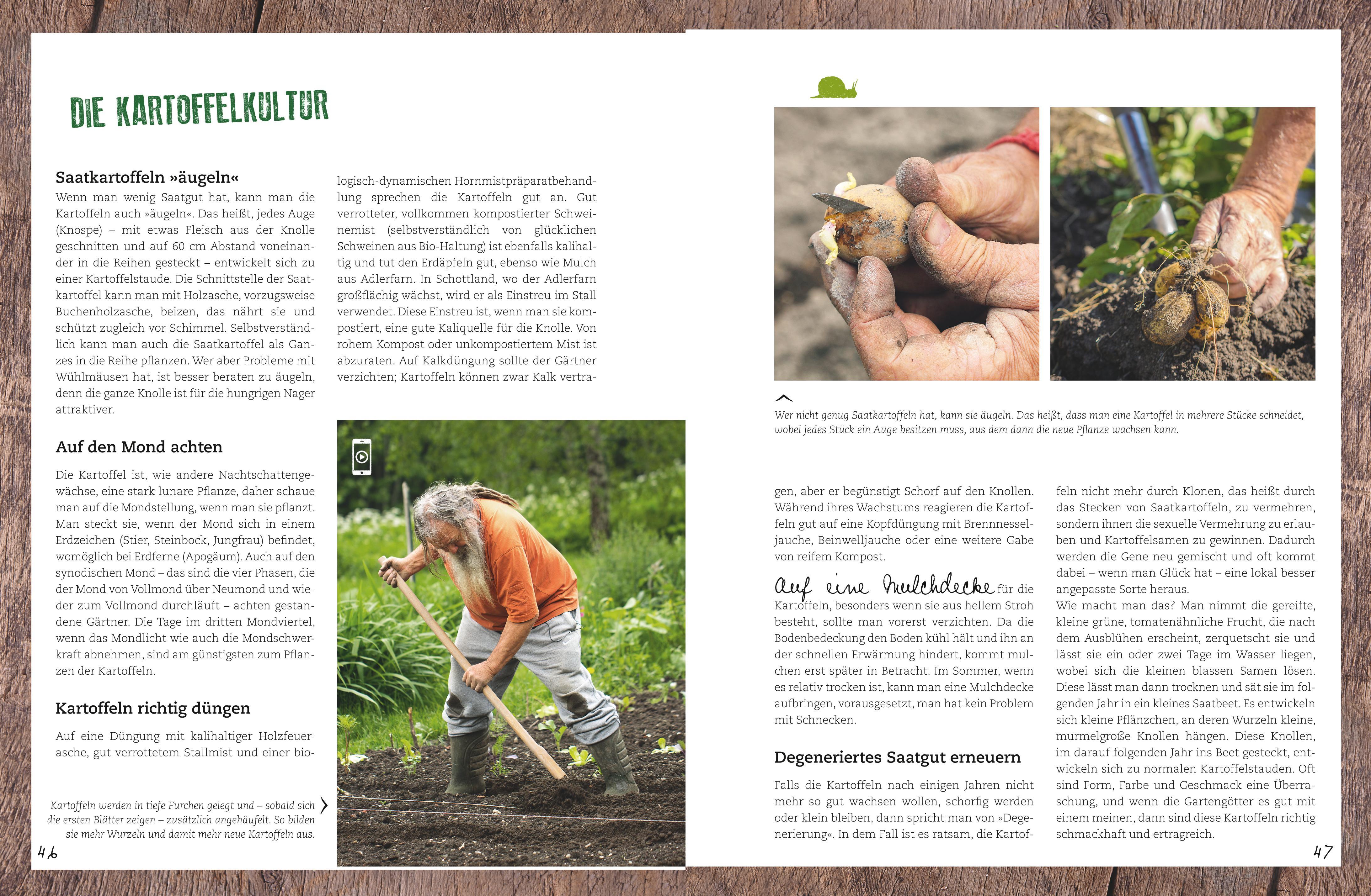 Beispielinhalt (Bild) Der Selbstversorger: Mein Gartenjahr