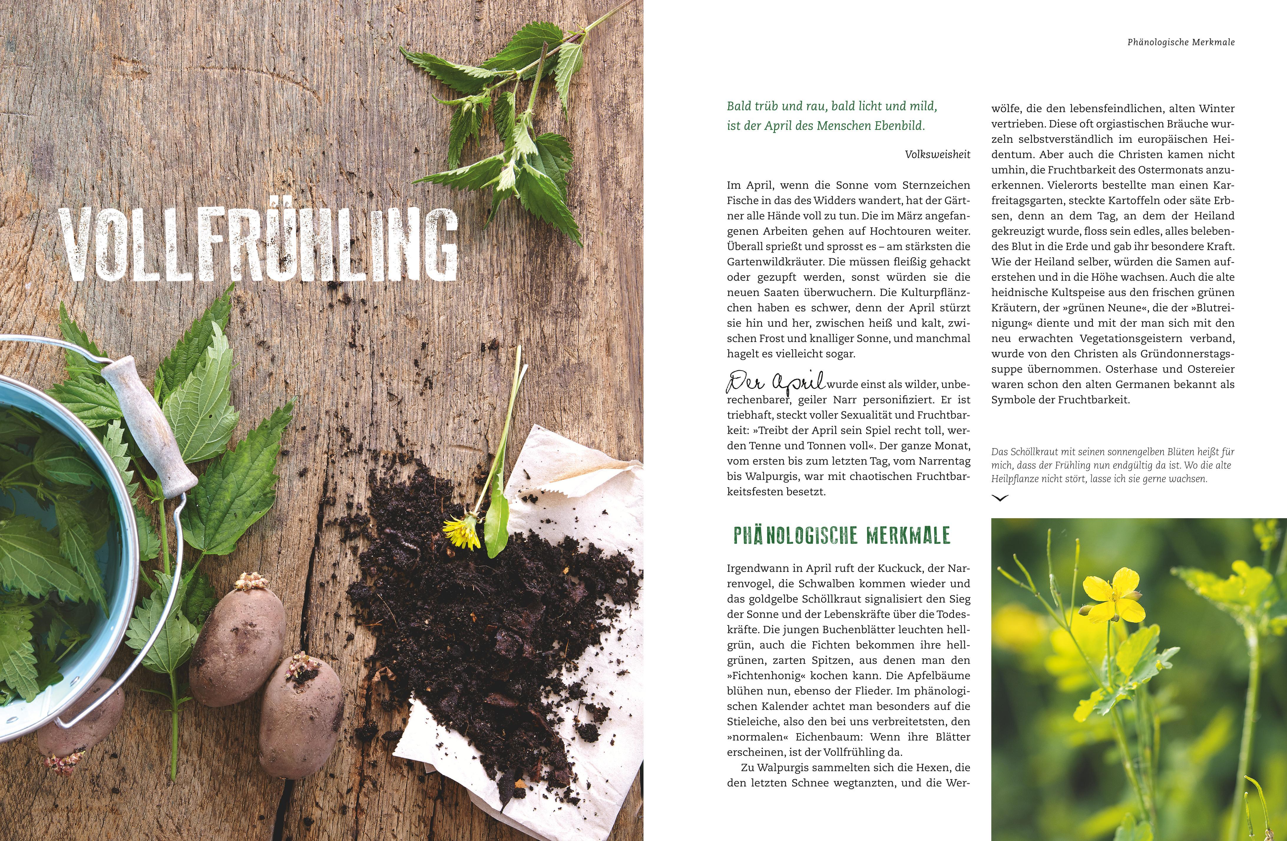 Beispielinhalt (Bild) Der Selbstversorger: Mein Gartenjahr