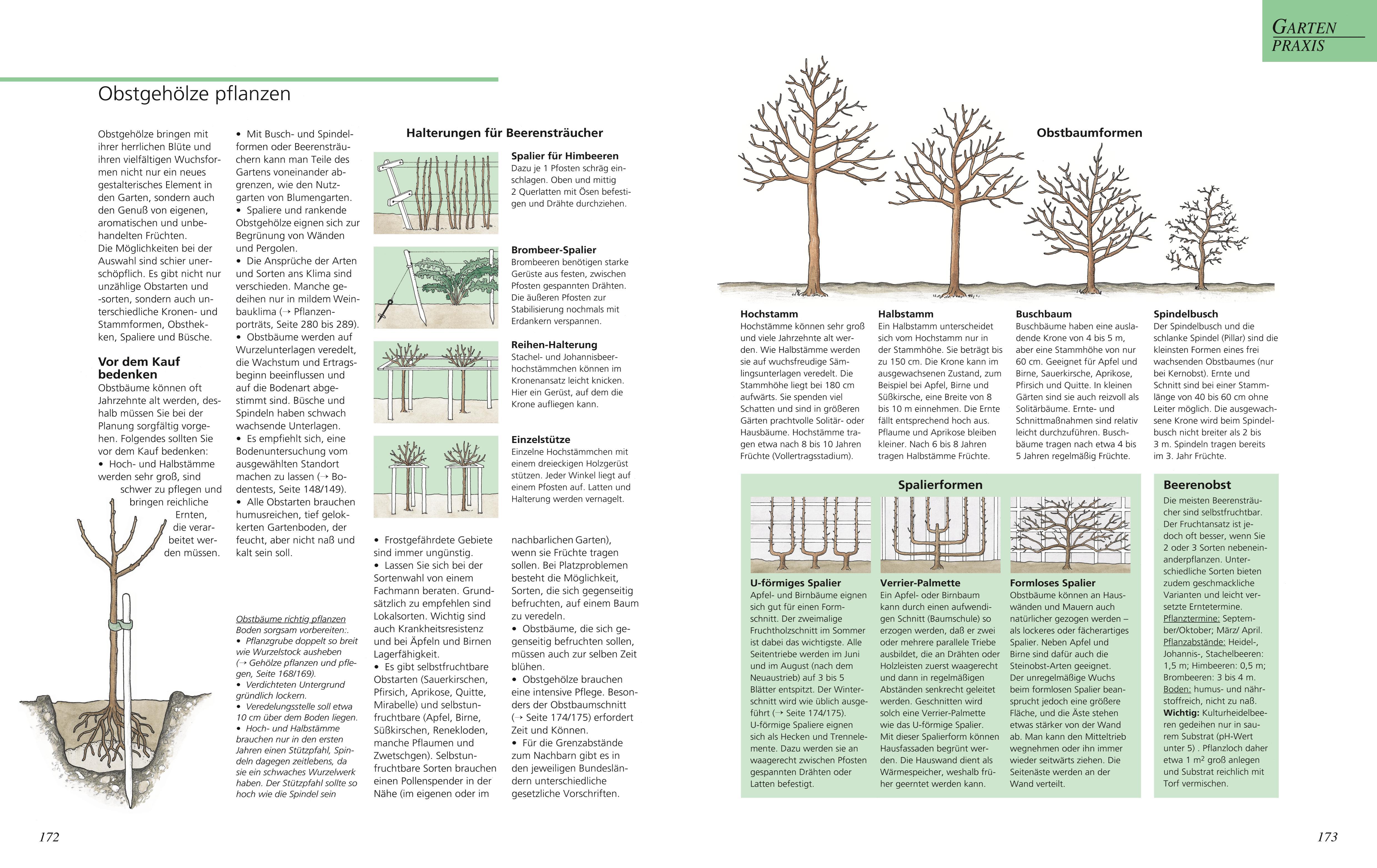 Beispielinhalt (Bild) Das große GU Gartenbuch