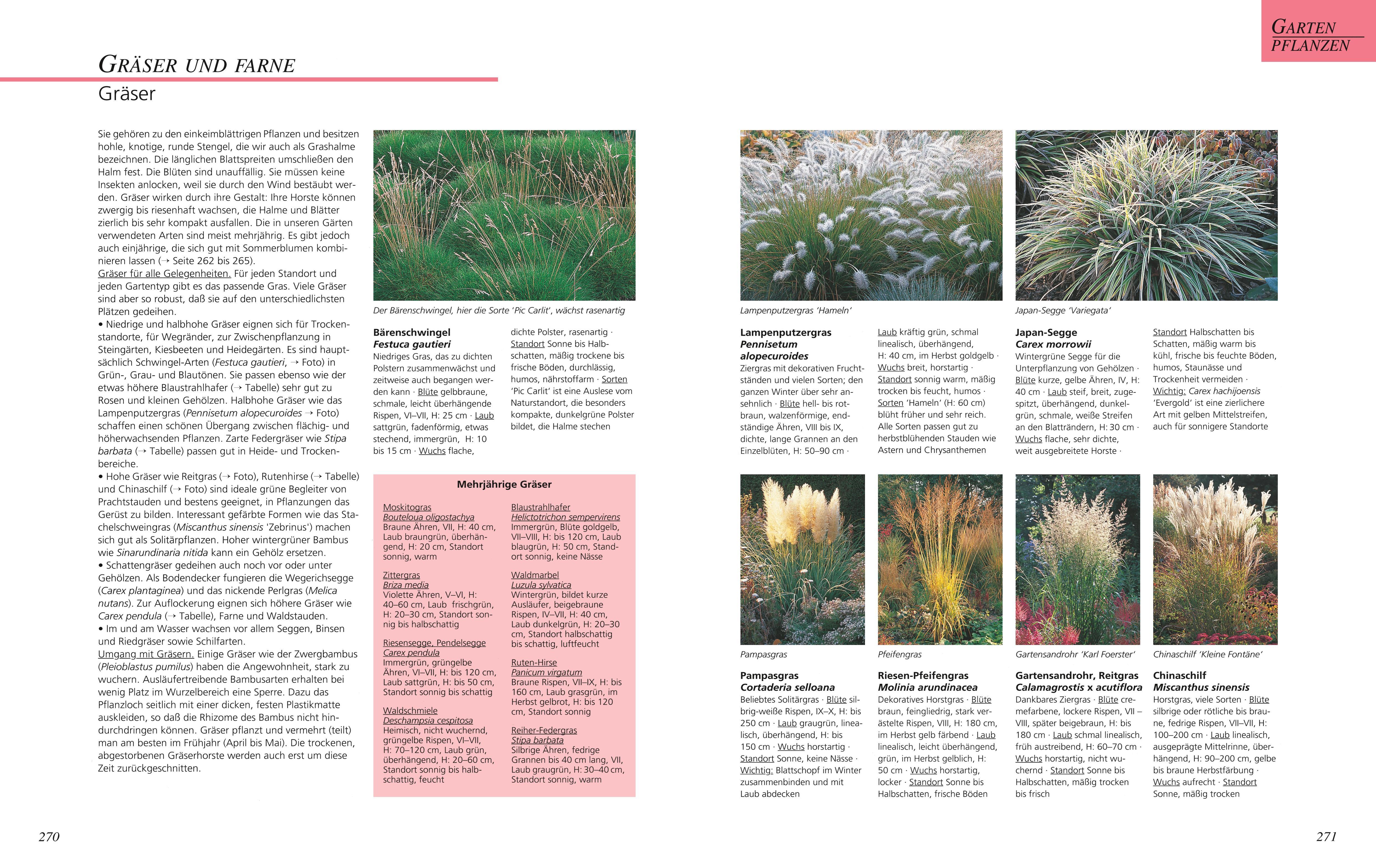 Beispielinhalt (Bild) Das große GU Gartenbuch