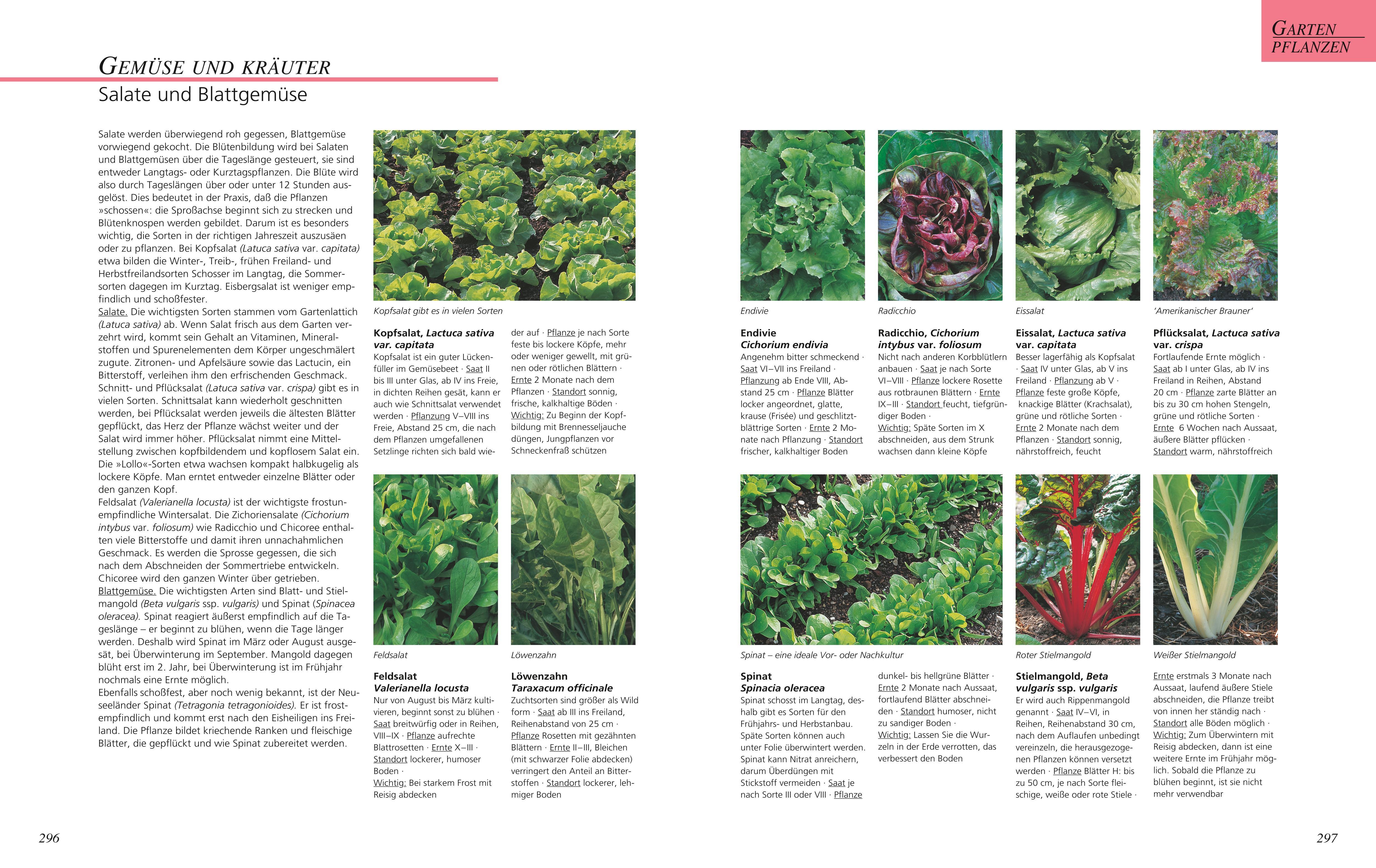Beispielinhalt (Bild) Das große GU Gartenbuch