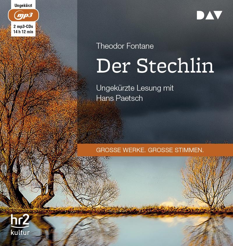 Vorderes Coverbild Der Stechlin