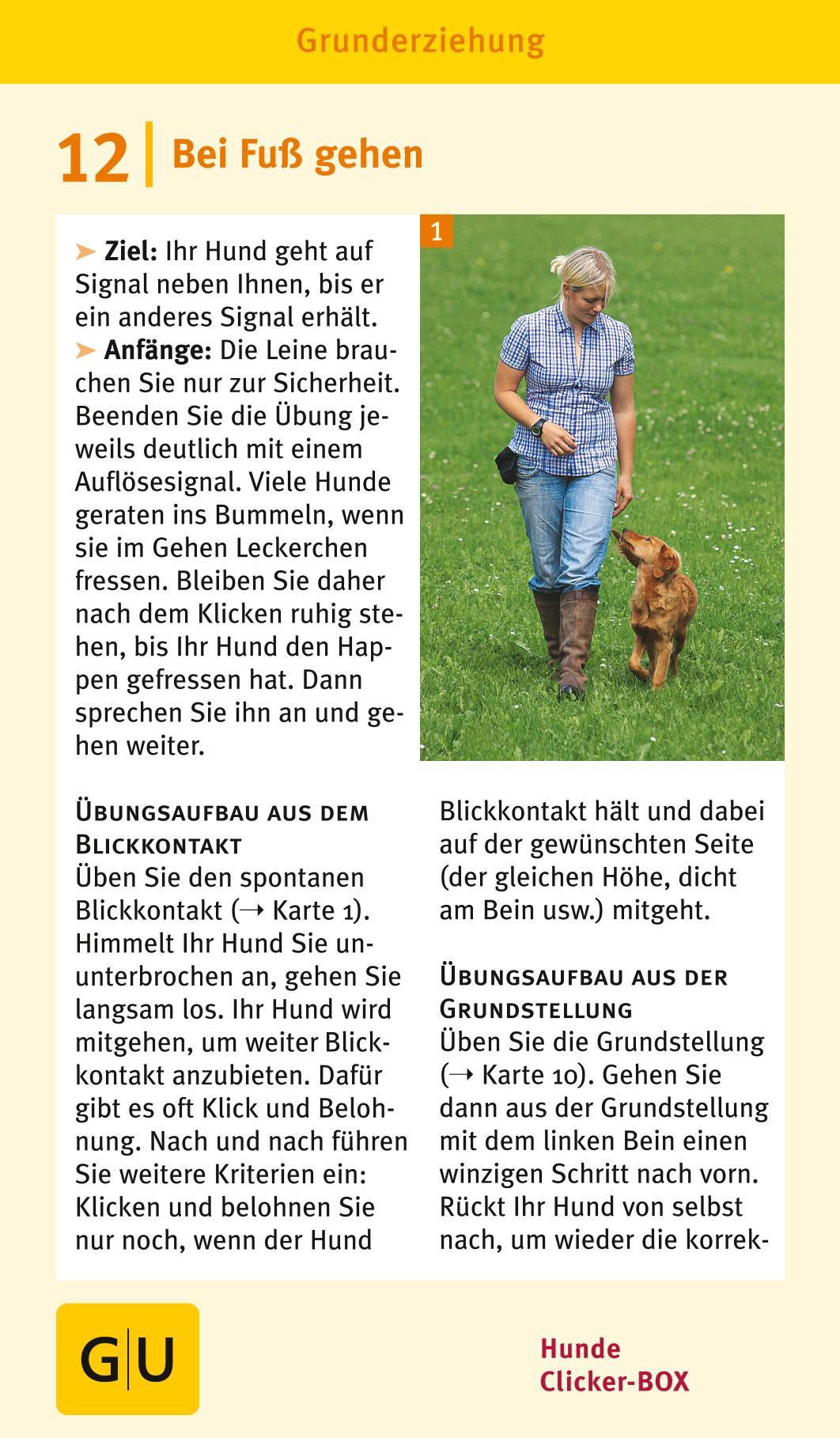 Beispielinhalt (Bild) Hunde-Clicker-Box