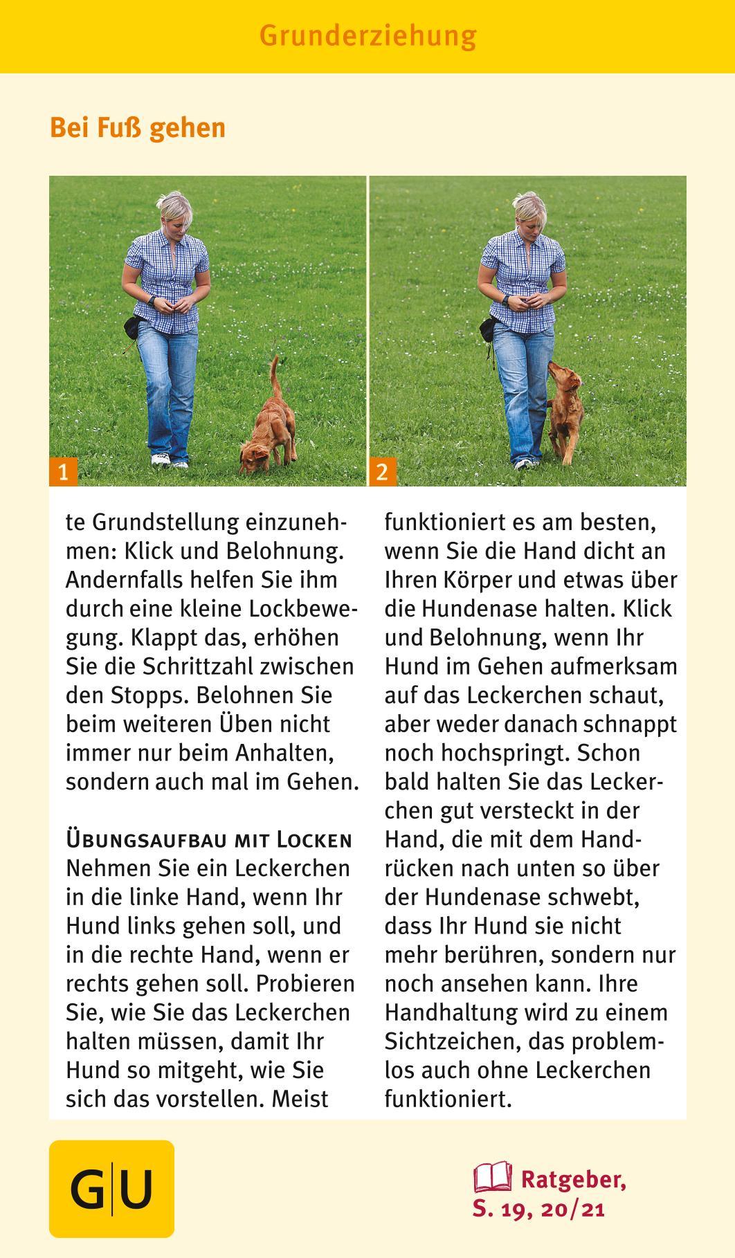 Beispielinhalt (Bild) Hunde-Clicker-Box