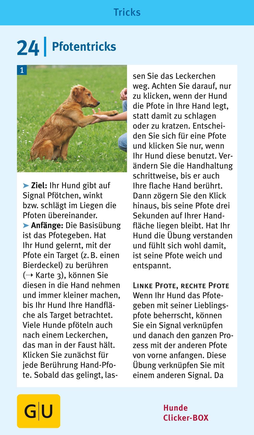 Beispielinhalt (Bild) Hunde-Clicker-Box