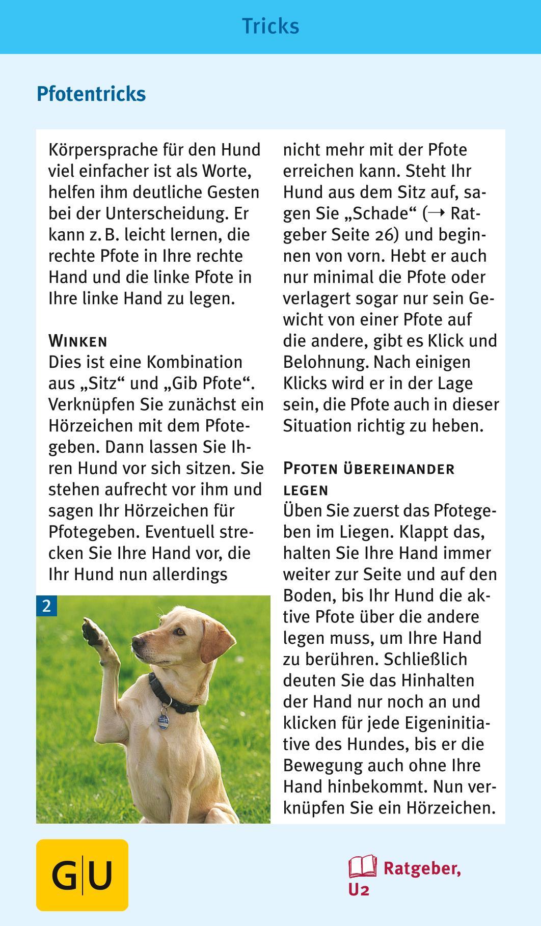Beispielinhalt (Bild) Hunde-Clicker-Box