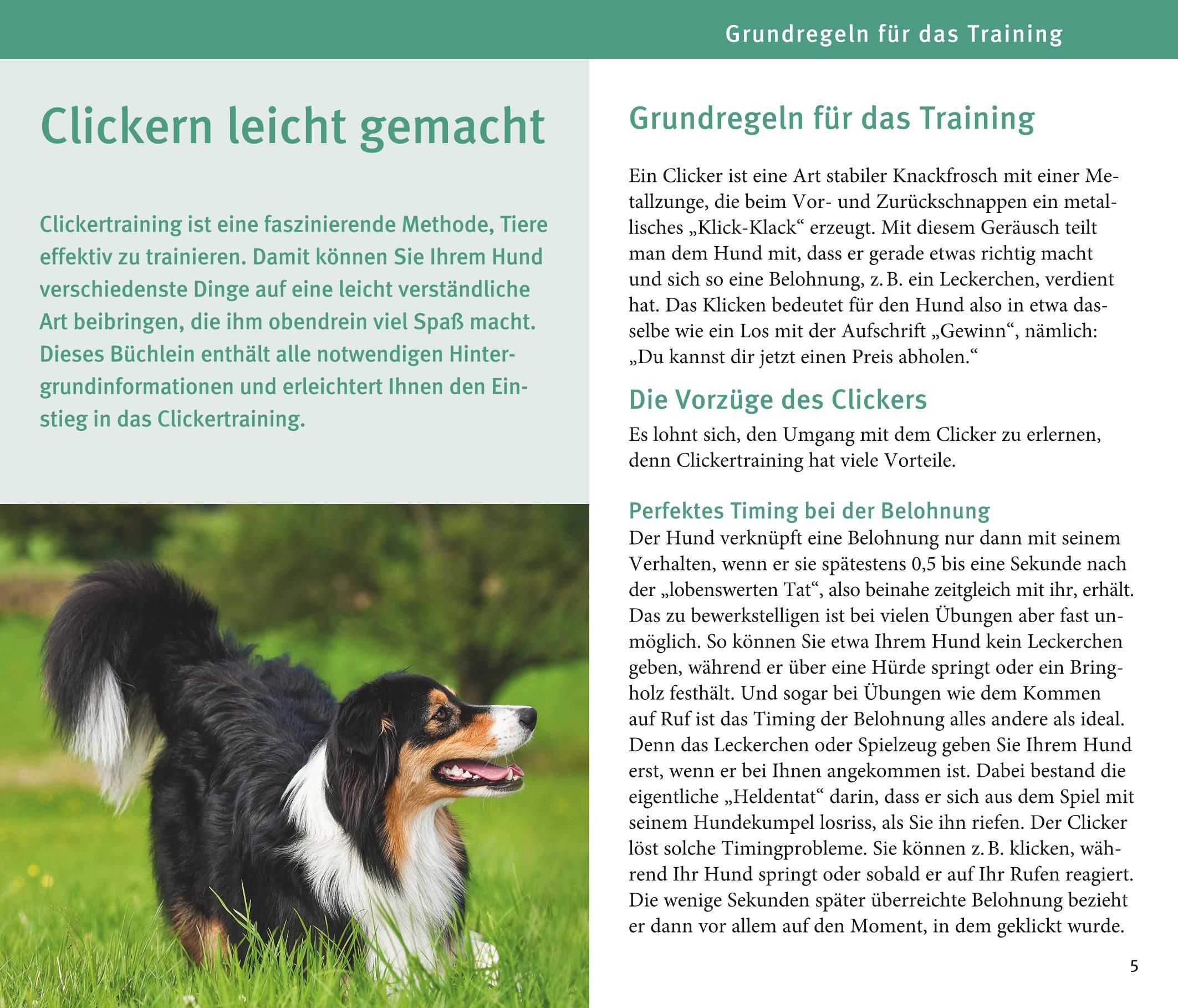 Beispielinhalt (Bild) Hunde-Clicker-Box