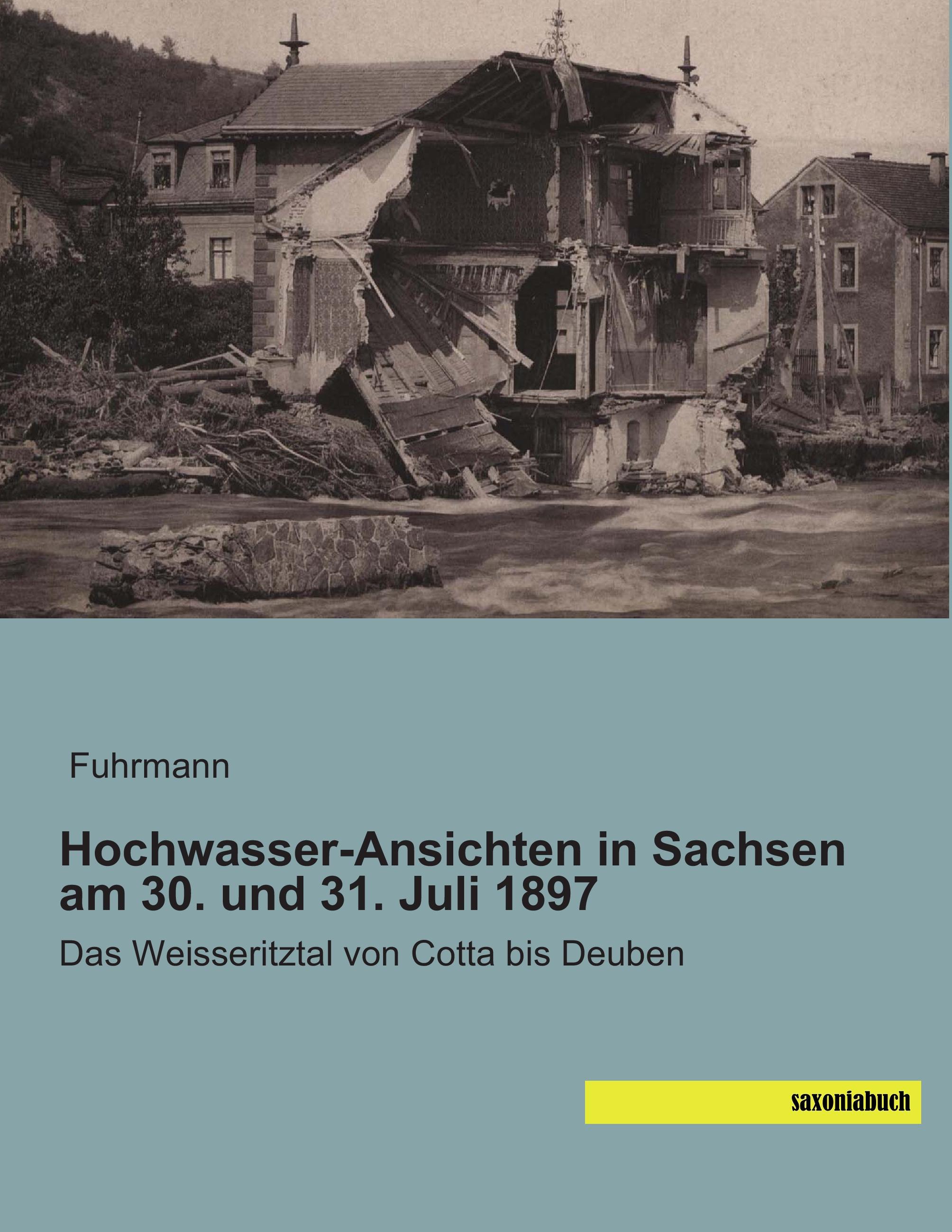 Vorderes Coverbild Hochwasser-Ansichten in Sachsen am 30. und 31. Juli 1897